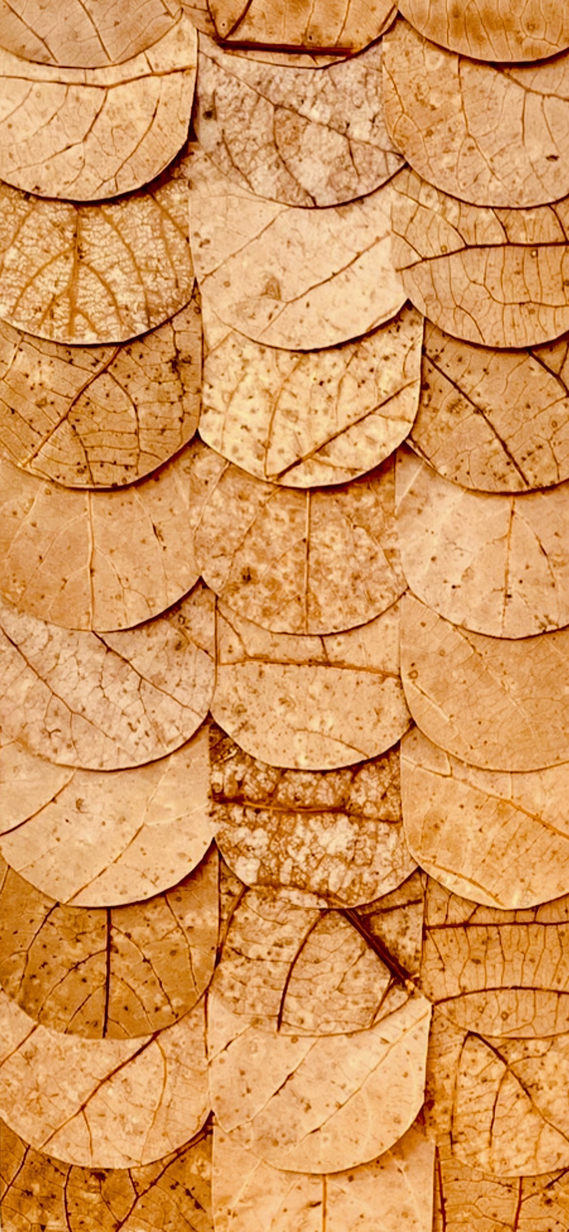 Fragments II - close up