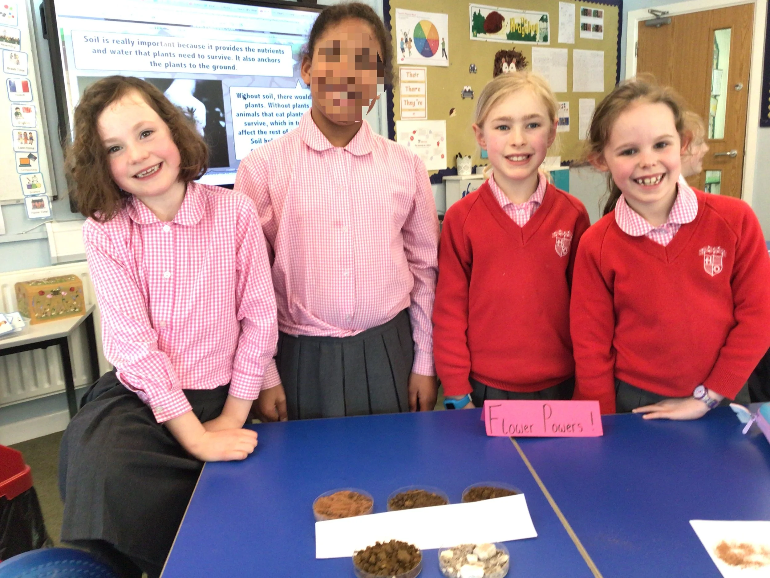 Exploring Soil Types