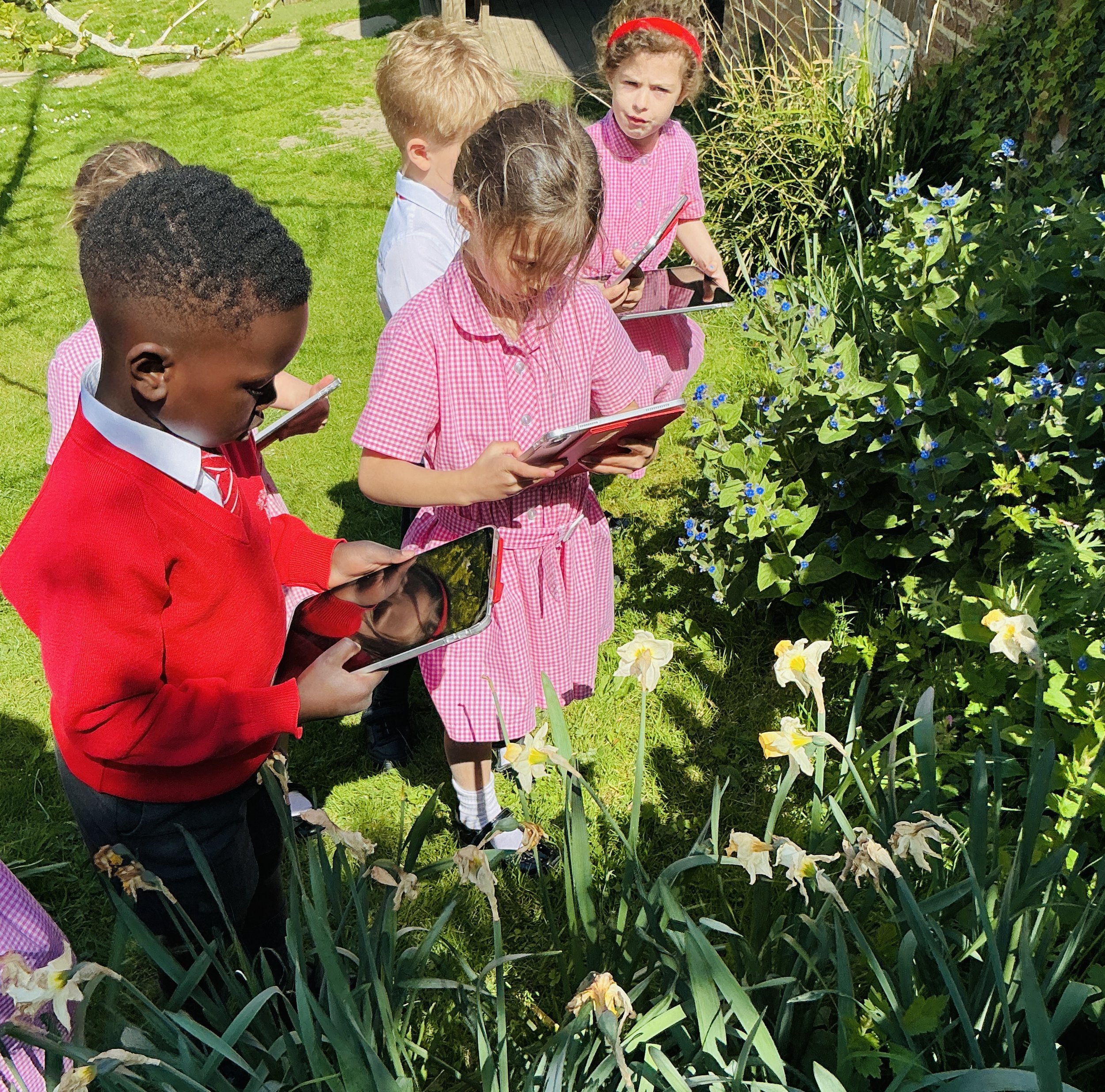 Spotting Plants