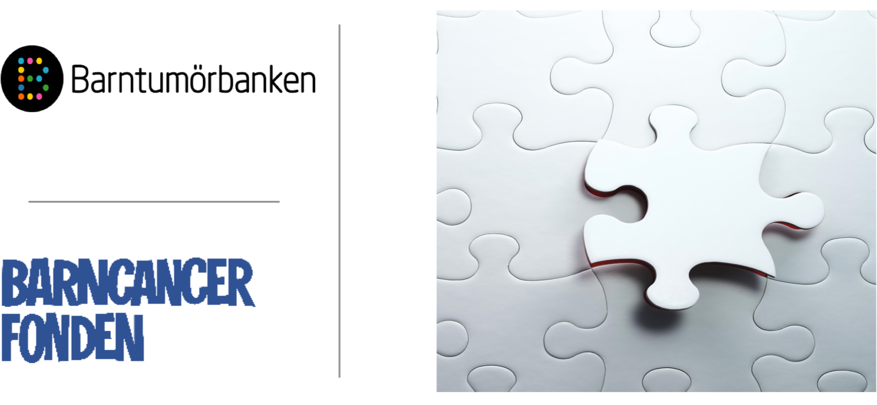 Vakant roll som grundforskarrepresentant