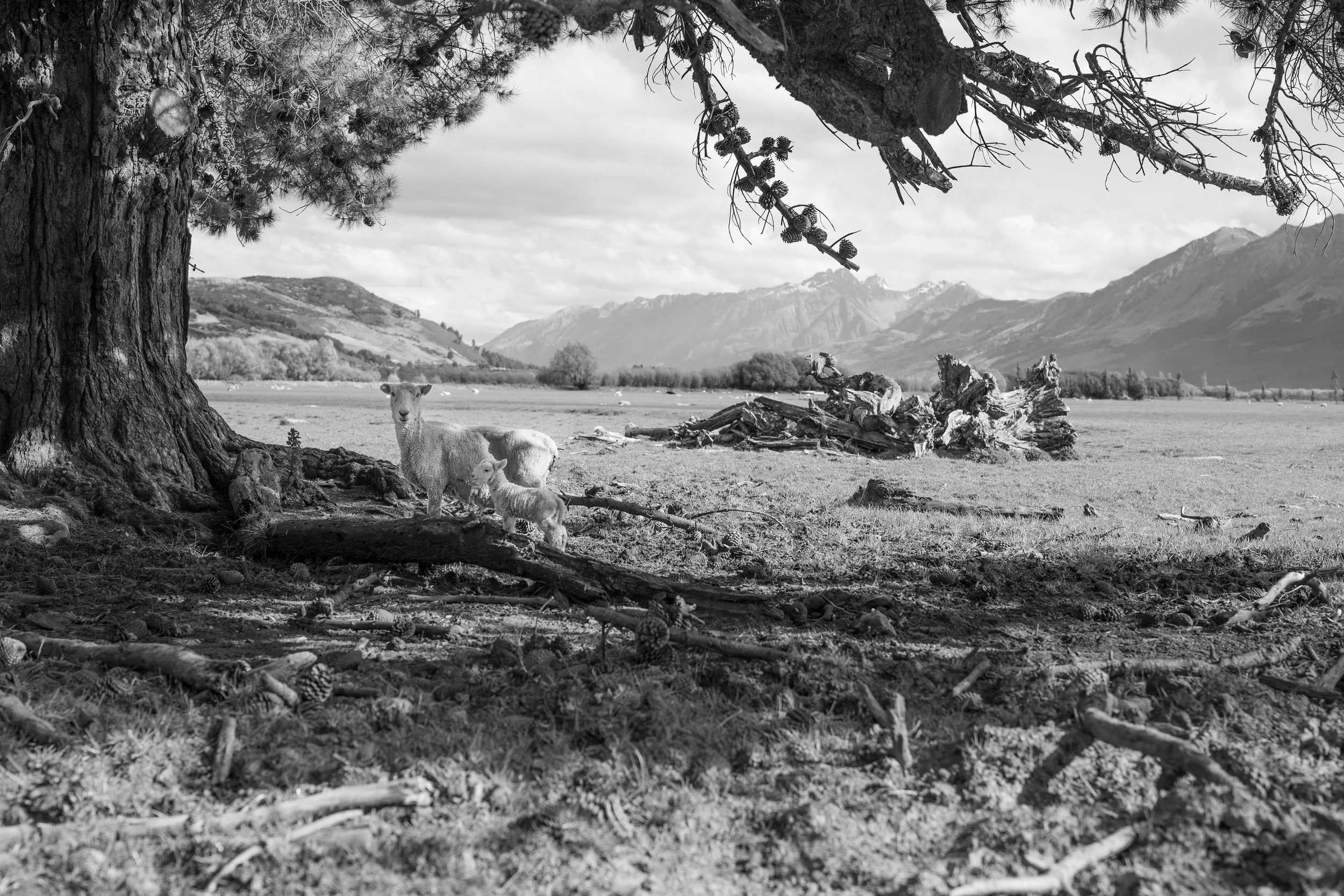 Glenorchy New Zealand