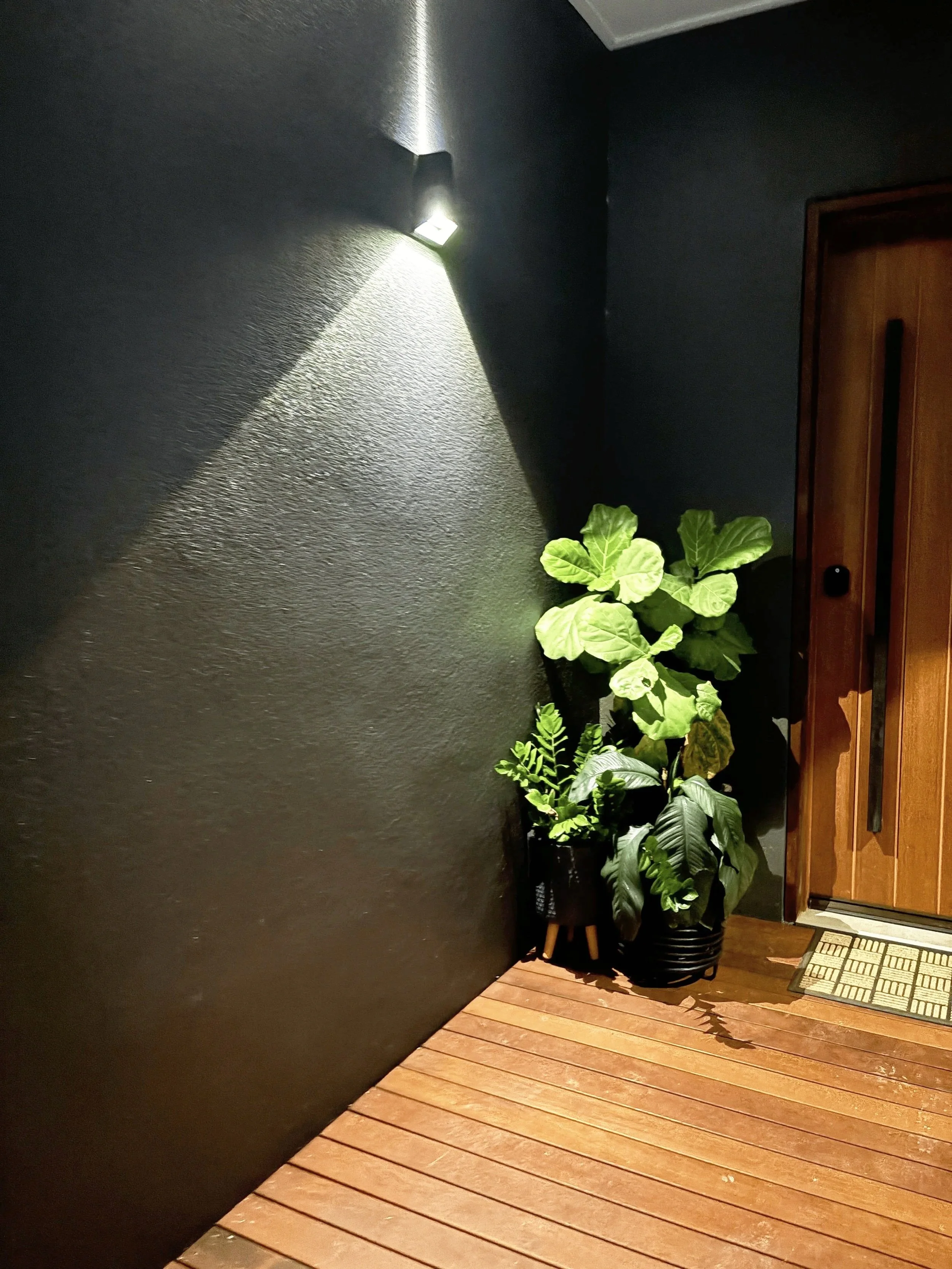 Indoor area with a dark wall, wooden floor, and a wooden door. A wall-mounted light illuminates part of the wall and floor. Near the door, there are two potted green plants.
