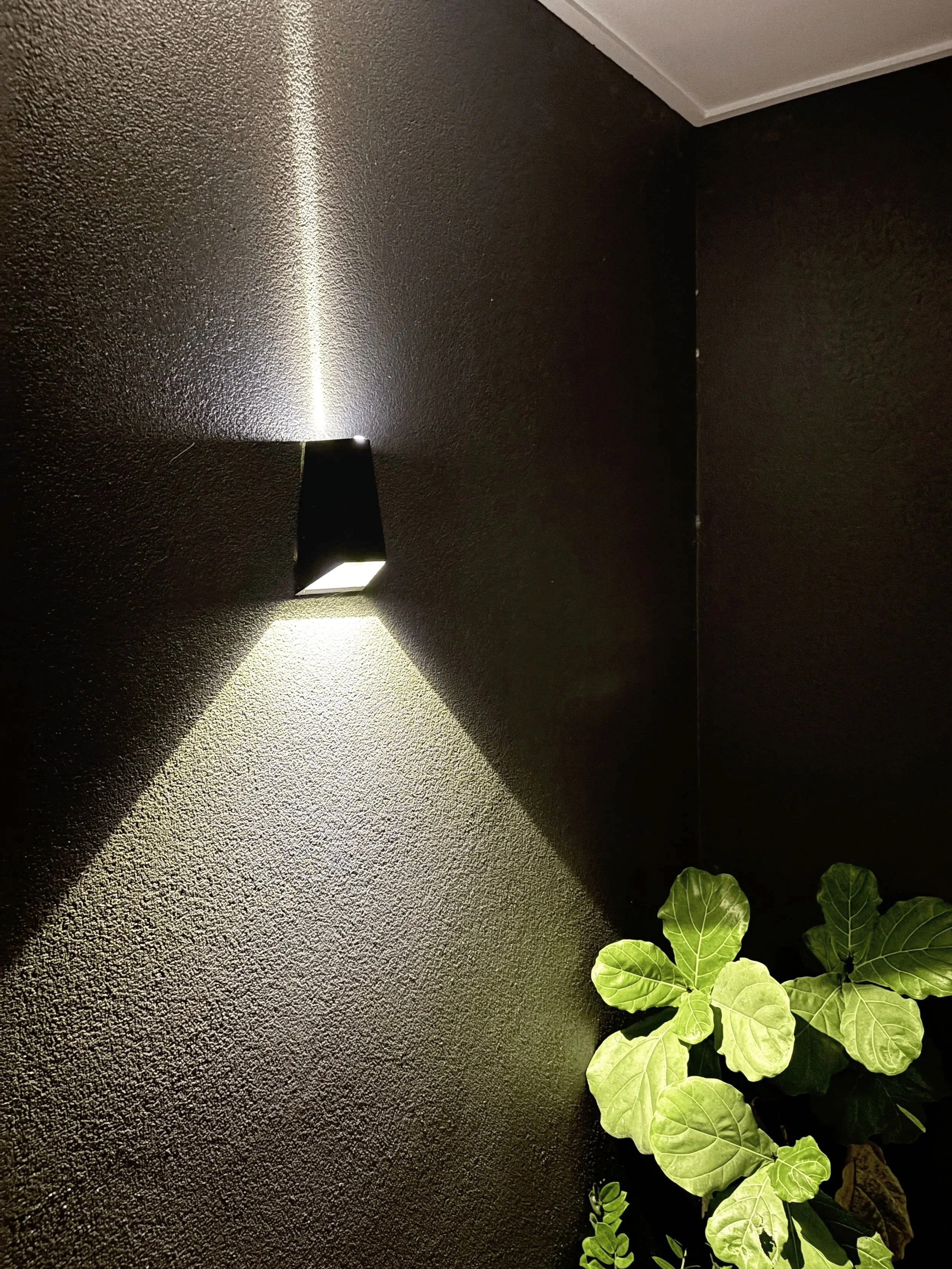 A modern black wall sconce light fixture casting a triangular beam of light on a dark textured wall in a room with a ceiling corner and a green leafy plant.