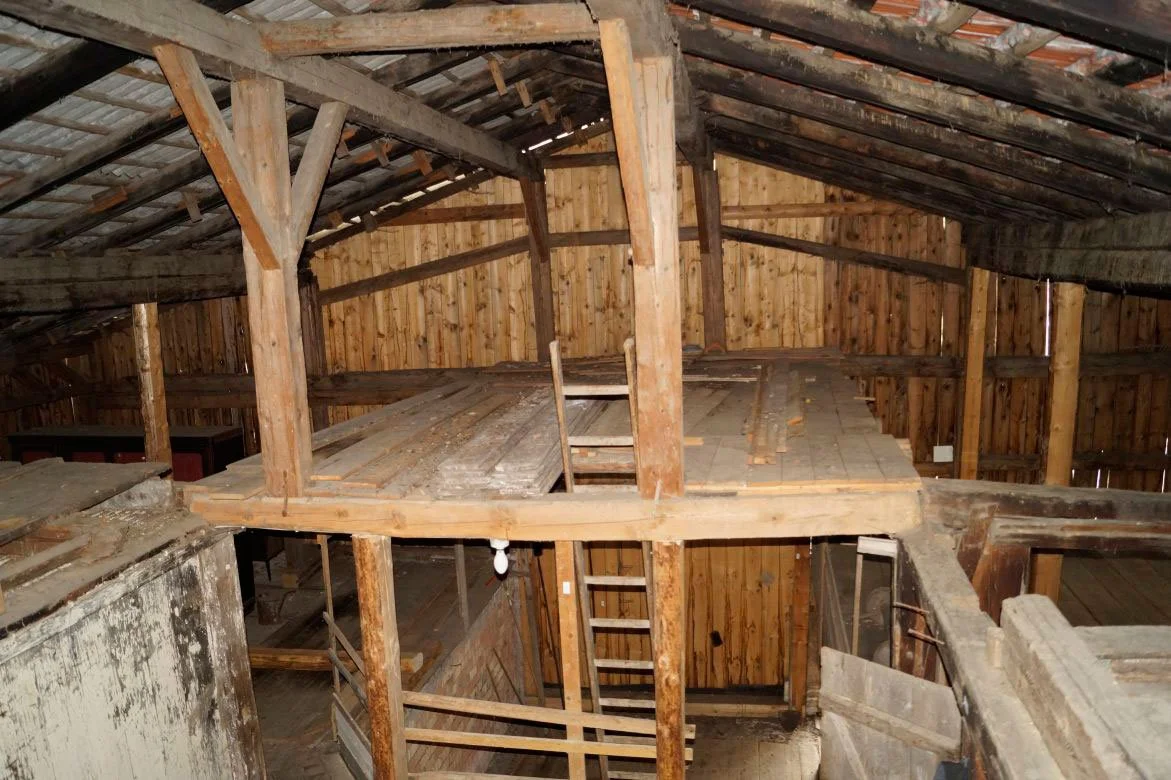 3-web.jpg