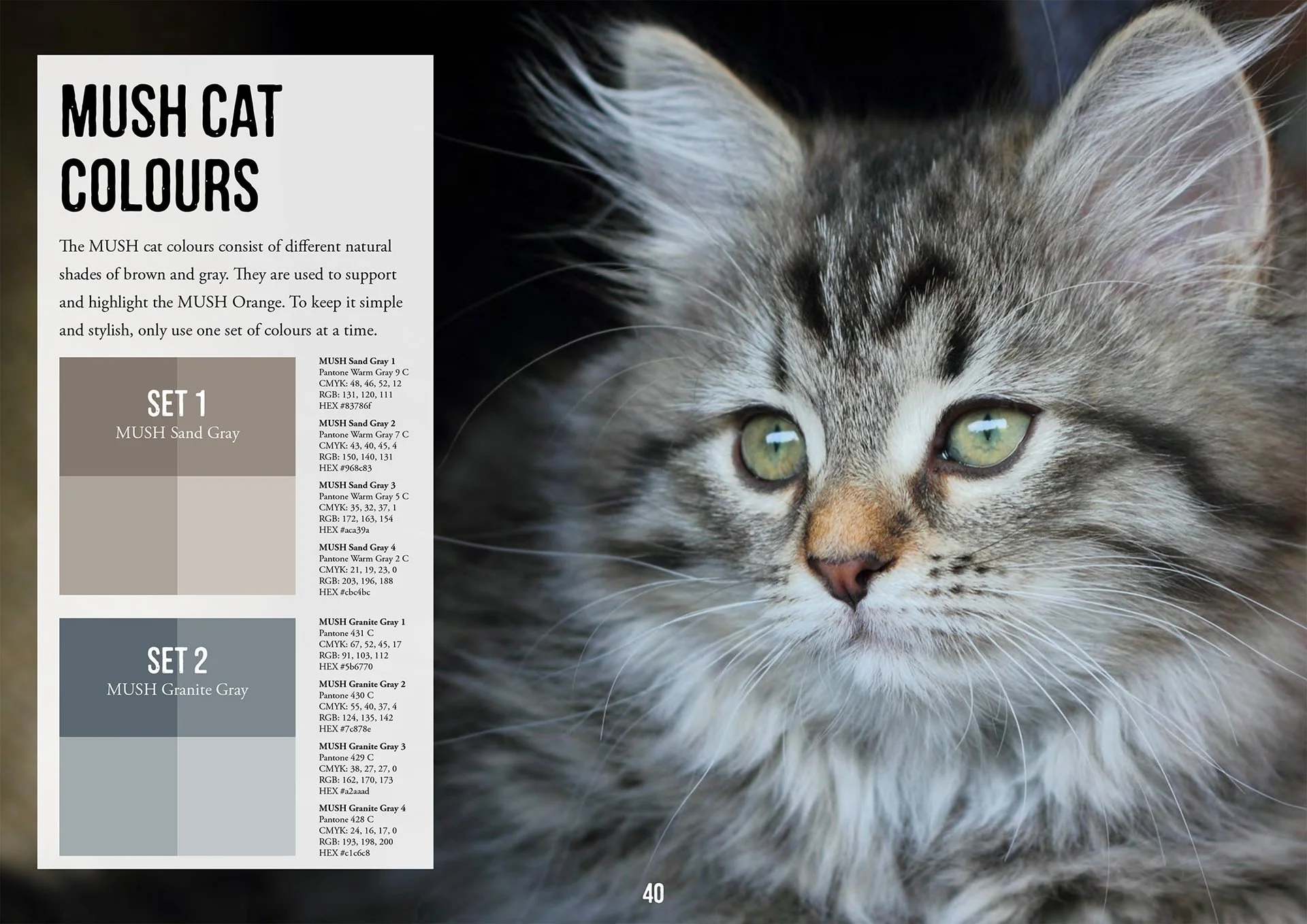 MUSH cat colors.jpg