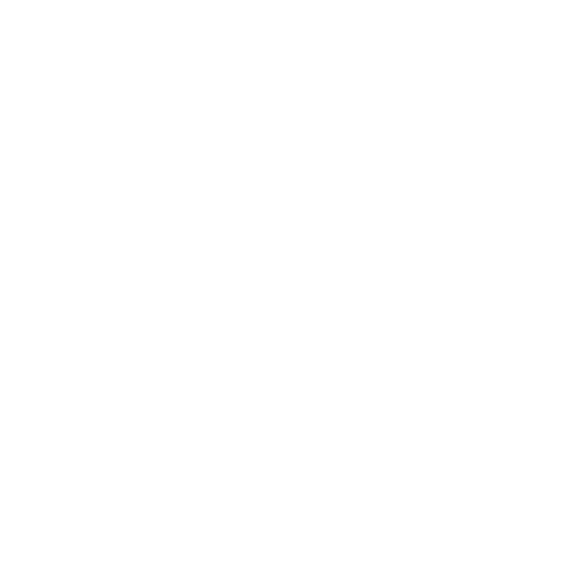 Wolt logo
