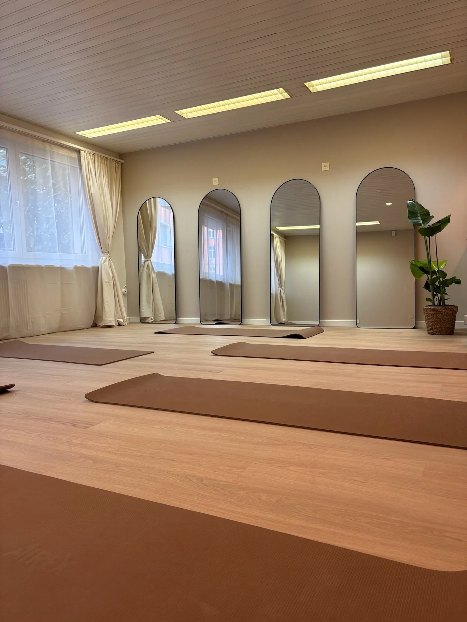 Ein Yogaraum mit Holzfußboden, mehreren auf dem Boden liegenden braunen Yogamatten, großen Fenstern mit weißen Vorhängen, mehreren großen Spiegeln an der Wand und einer Topfpflanze in einem Korb.