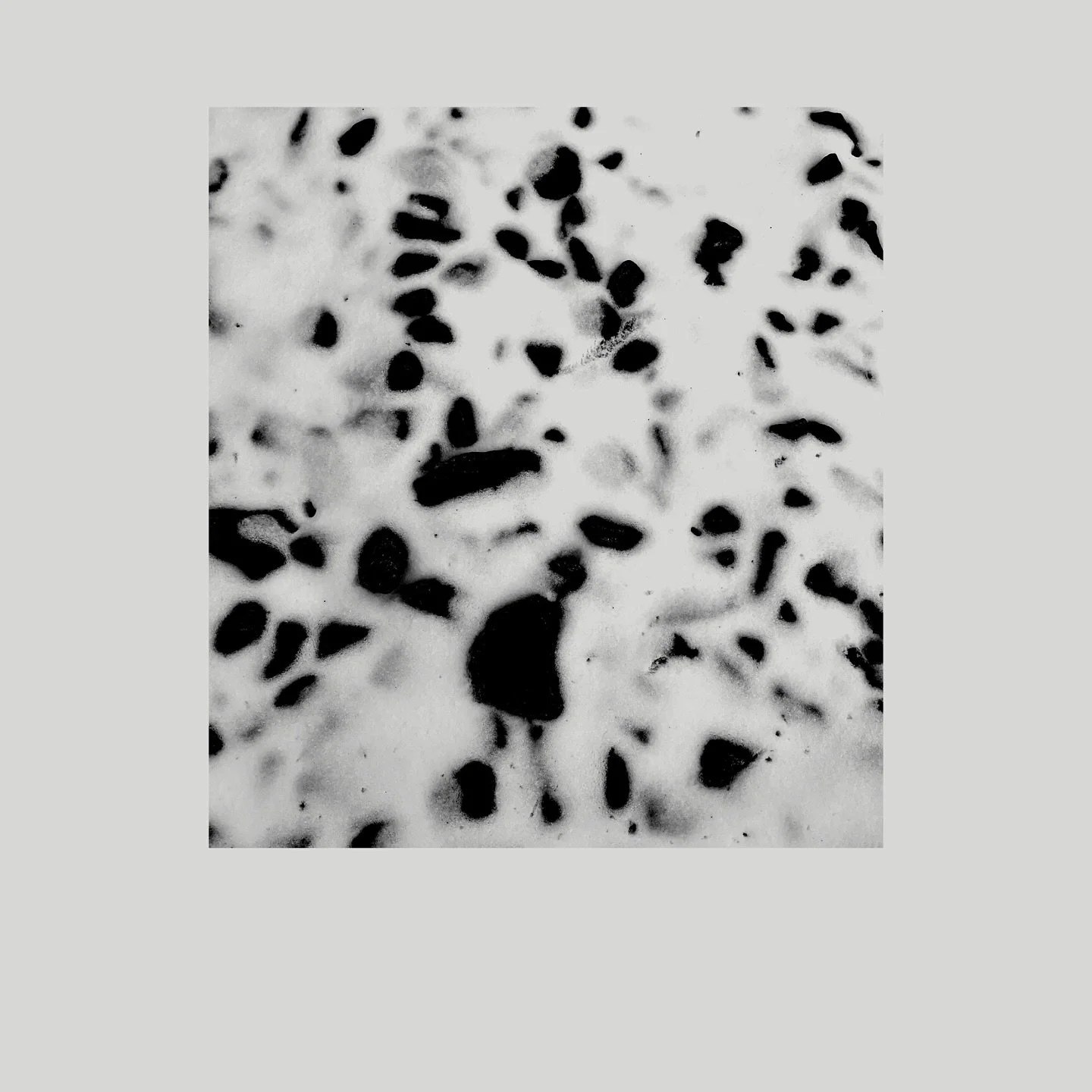 Winter snow flash concepts! Non repeatable
I can’t believe how fast it all melted I miss the crunches and the animal tracks
Books open for April (and May too if you’re sneaky) link in bio 💕🔗