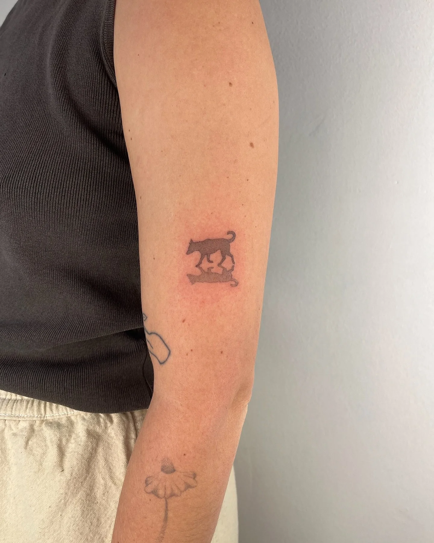 Another trade?! Swipe to see the chore jacket I got from @oksoupstudio and have not taken off since and go follow them RIGHT NOW
This one is so so special to me! A sweet little puppy pic for a sweet regular sized person. Some might say this is the b