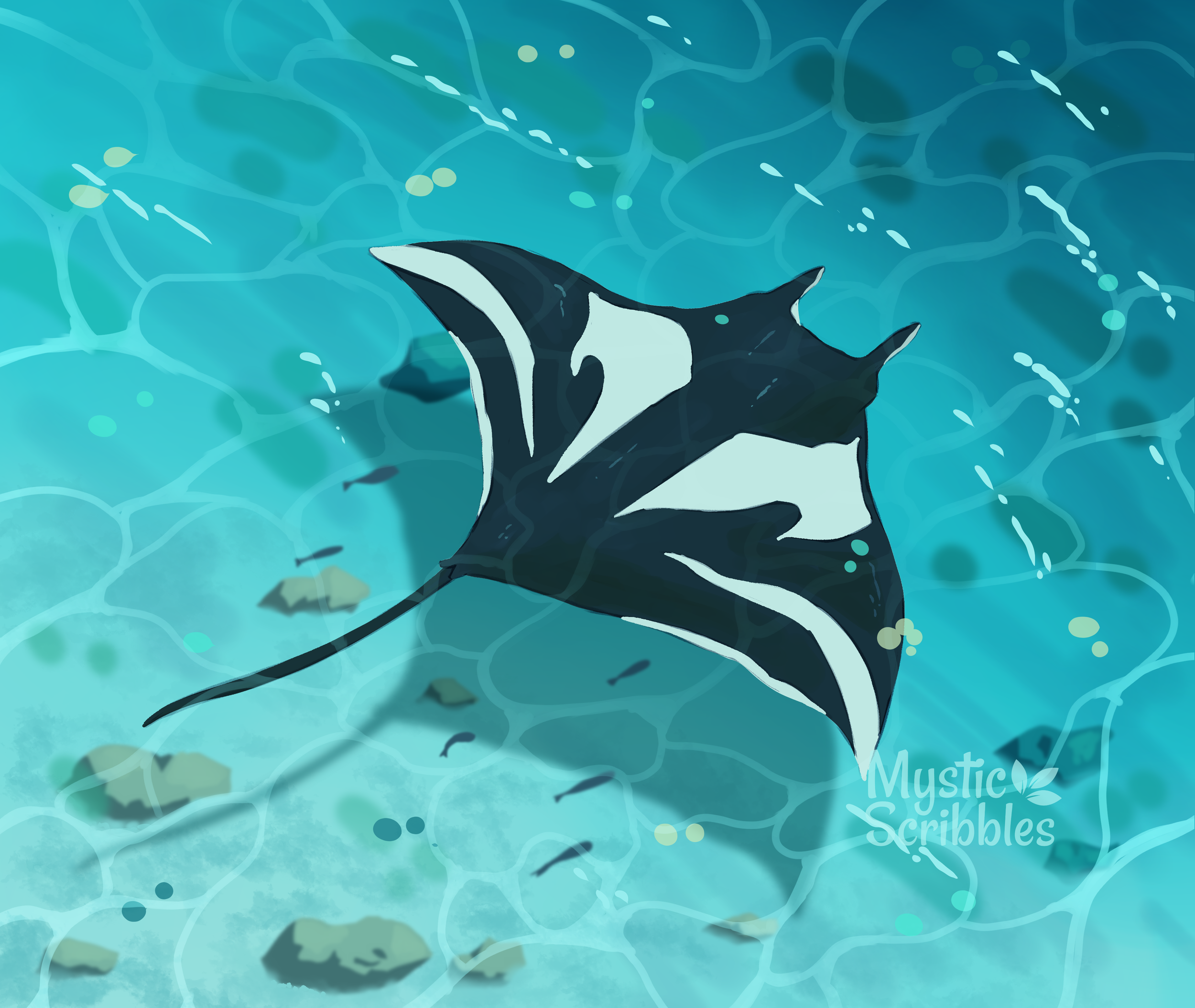 Manta Ray.png