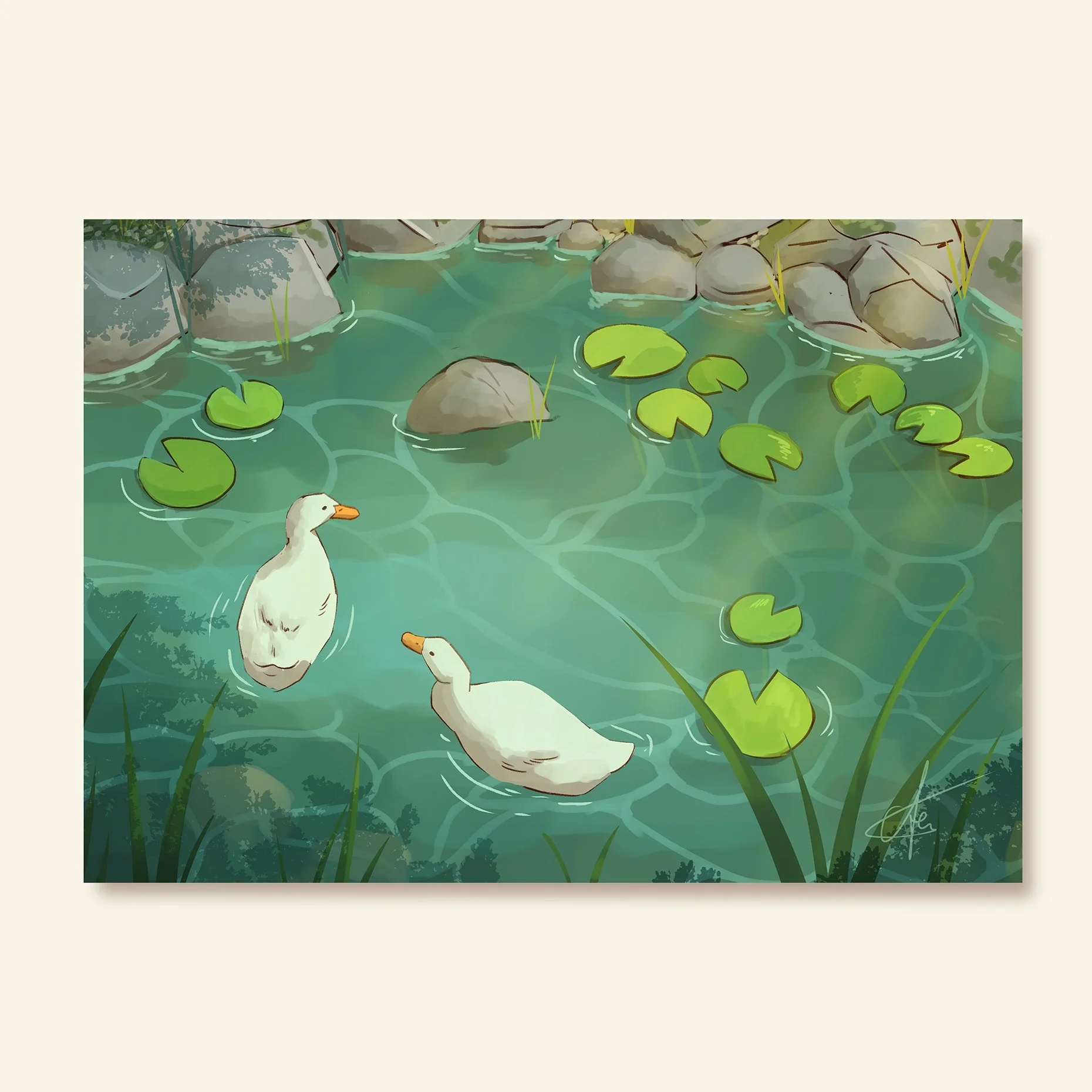 Duck Pond II - Art print