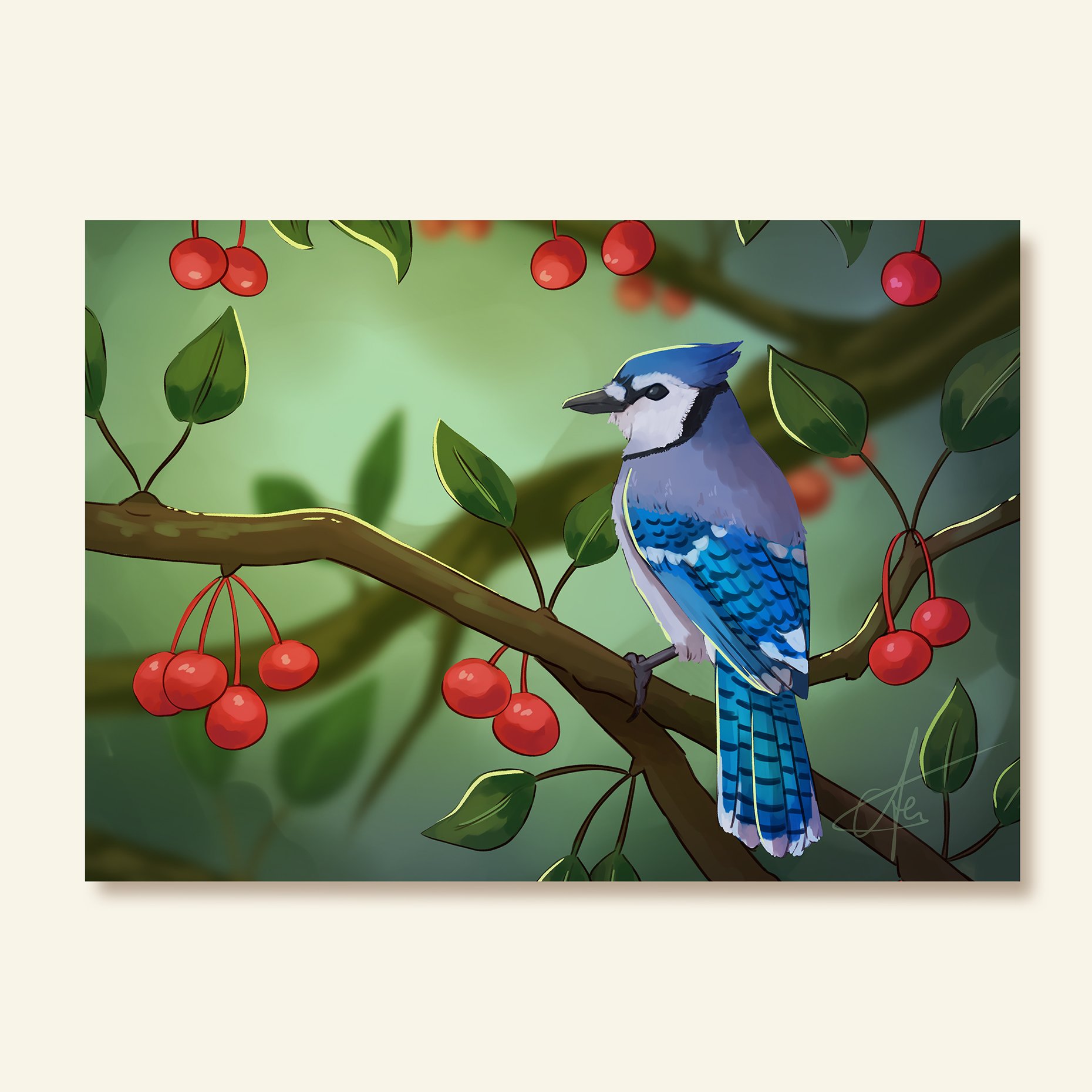 Blue Jay - Art print
