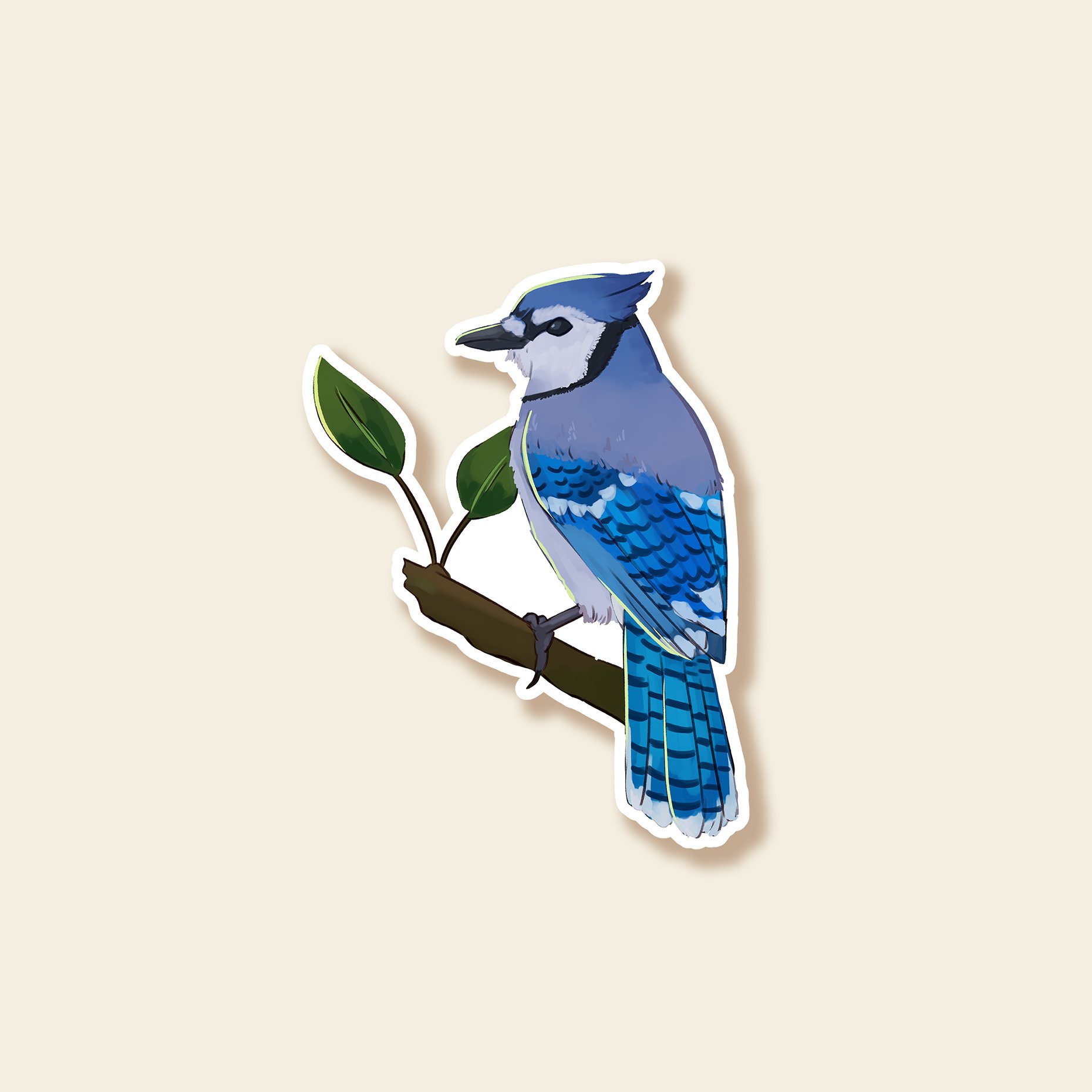 Blue Jay - Sticker