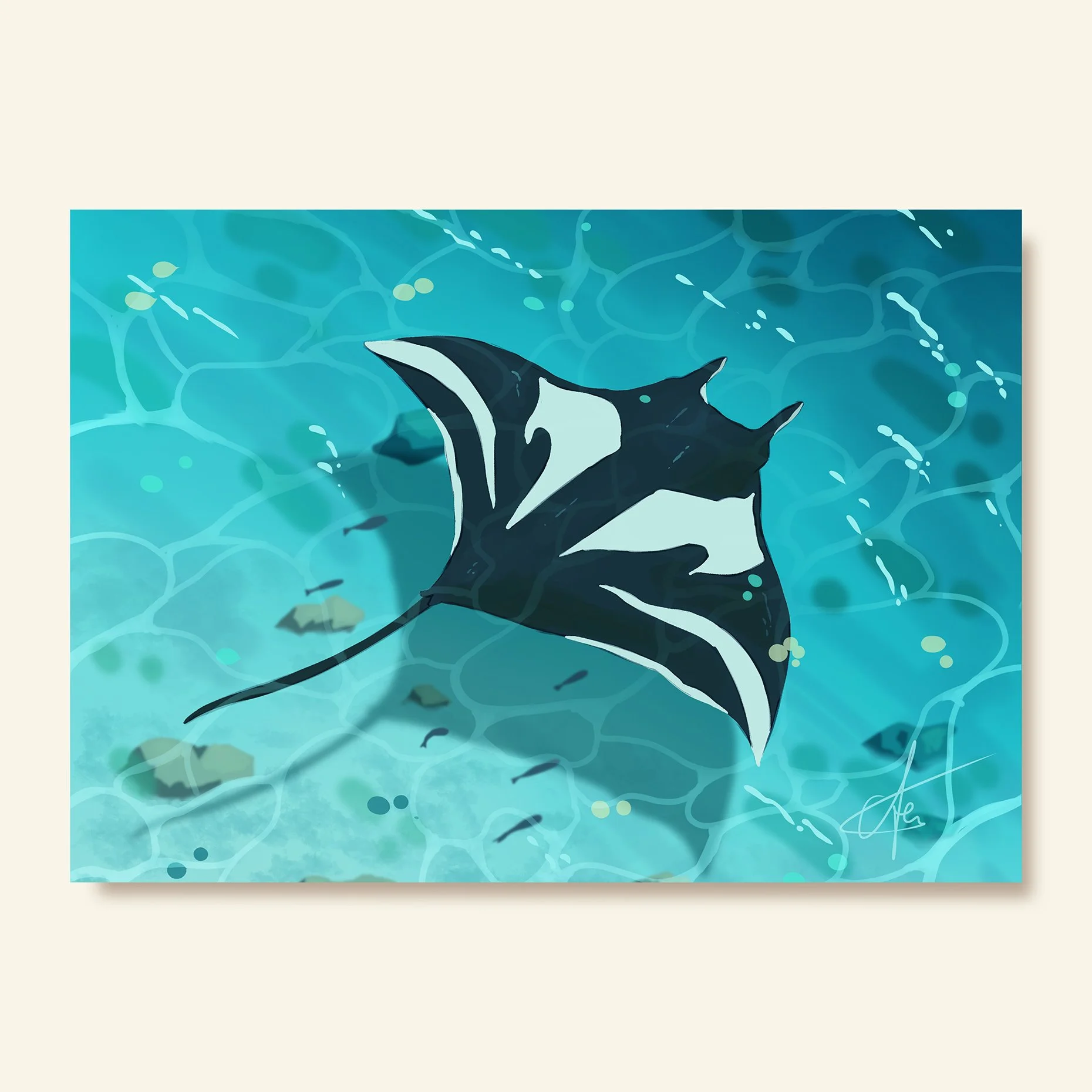 Manta Ray - Art print