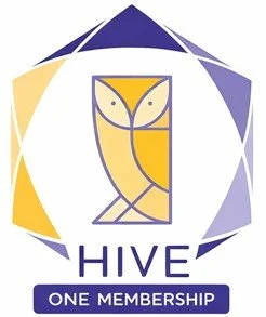 Geometric stylized owl with yellow and blue hues surrounded by a multicolored polygonal pattern.