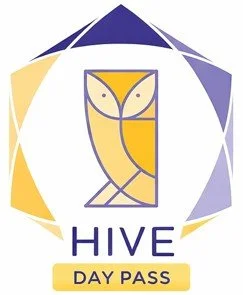 Abstract geometric owl design in orange and blue surrounded by a stylized hexagonal frame with gradient shading.