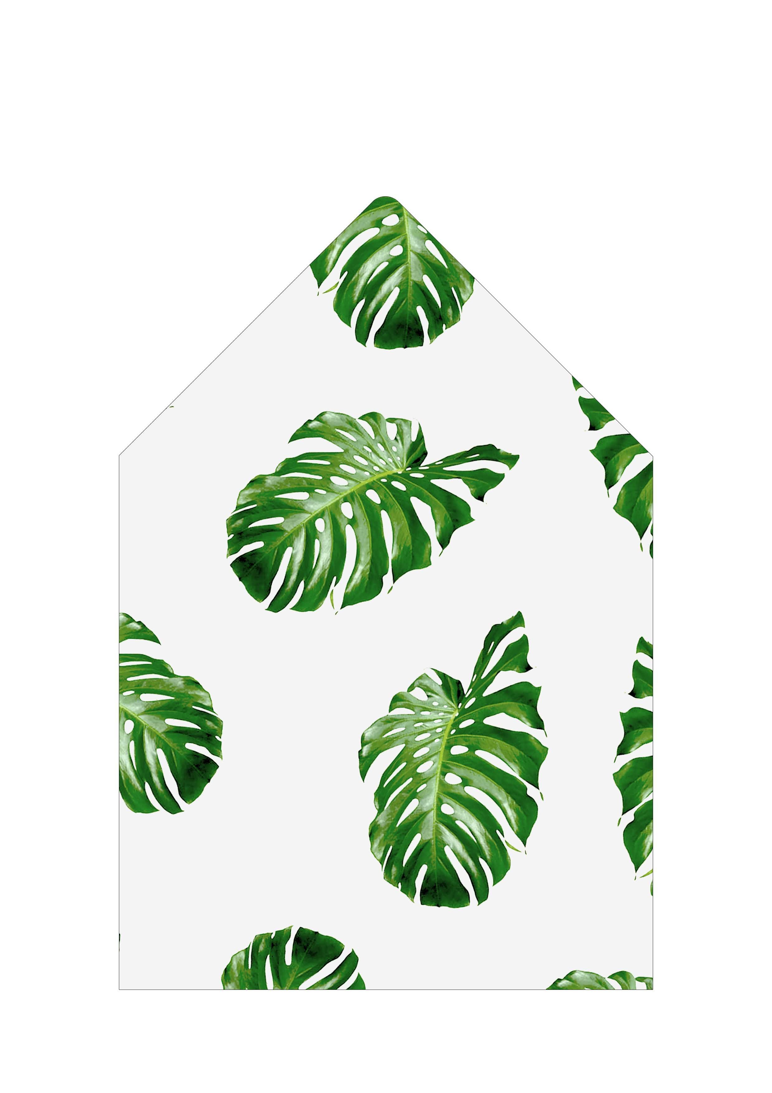 155mm Square Rounded Top.jpg