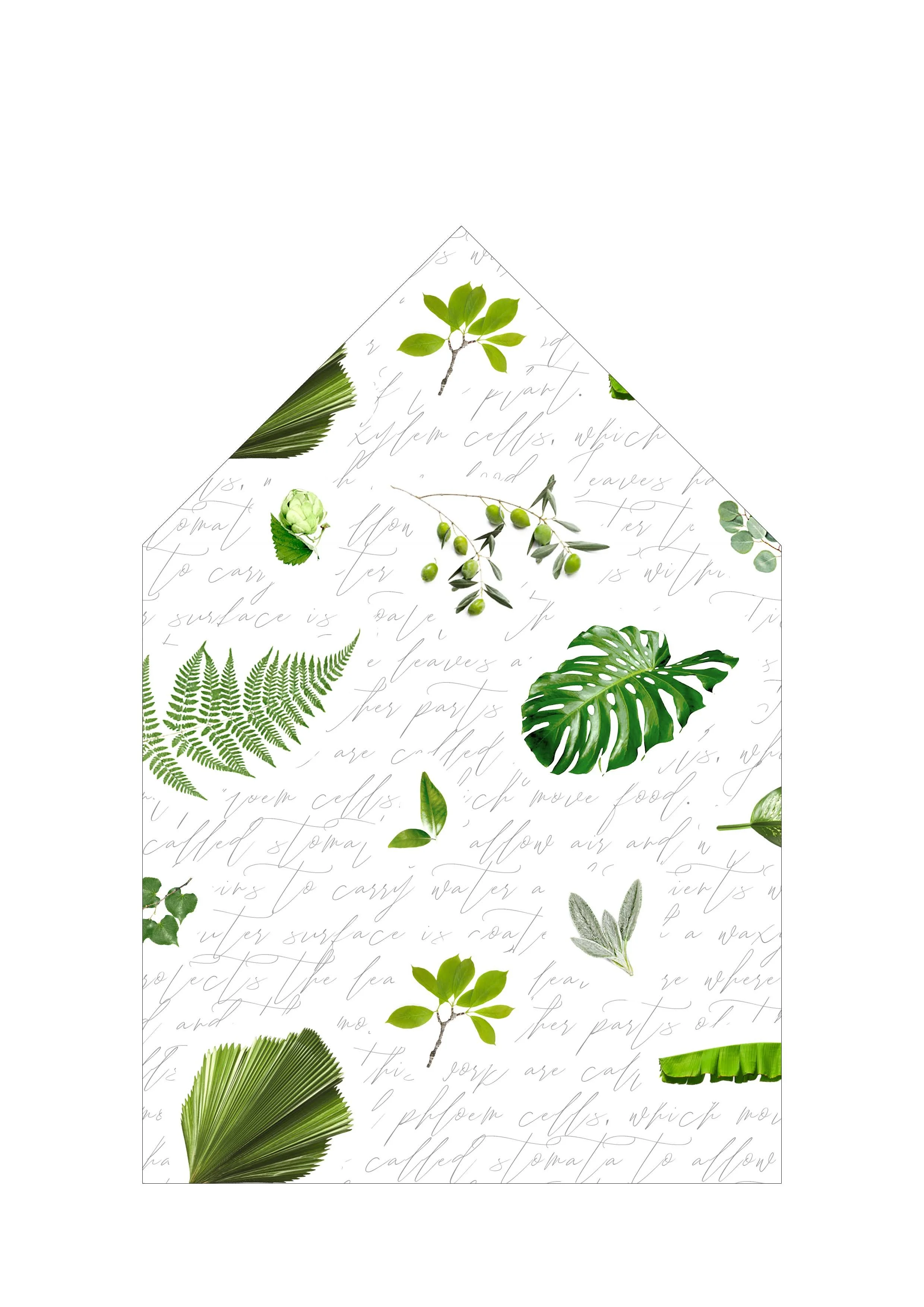 155mm Square Pointed Top(2).jpg