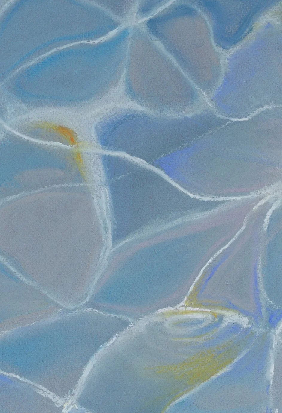 Pool no 14 Karlee Hankin close up 2.jpg (Copy)