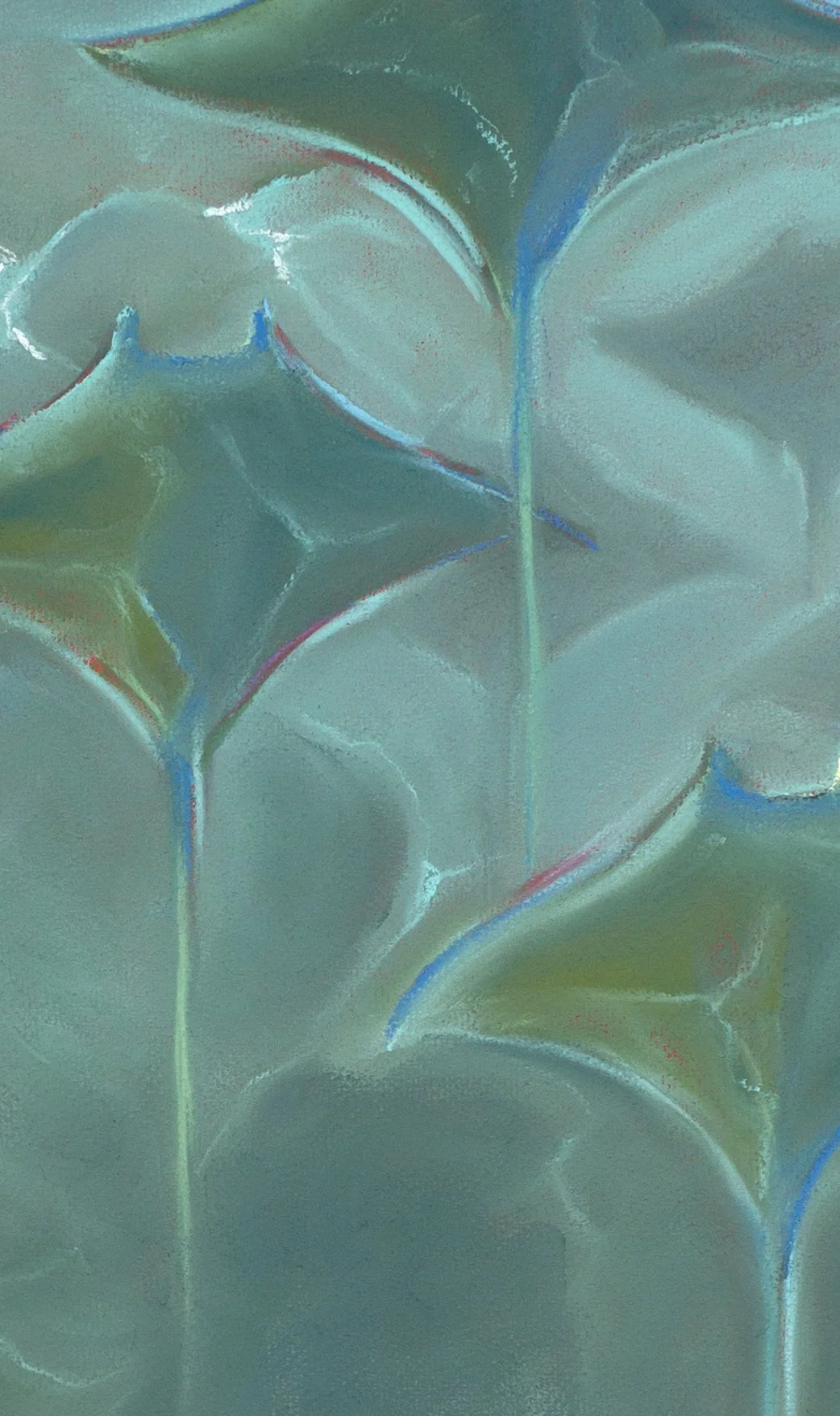 Echos copy 3.jpg