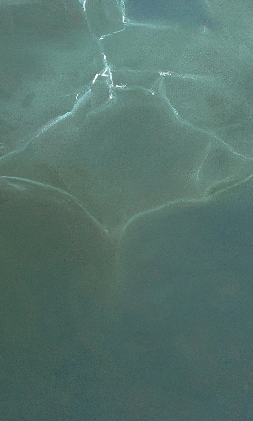 Echos copy 5.jpg