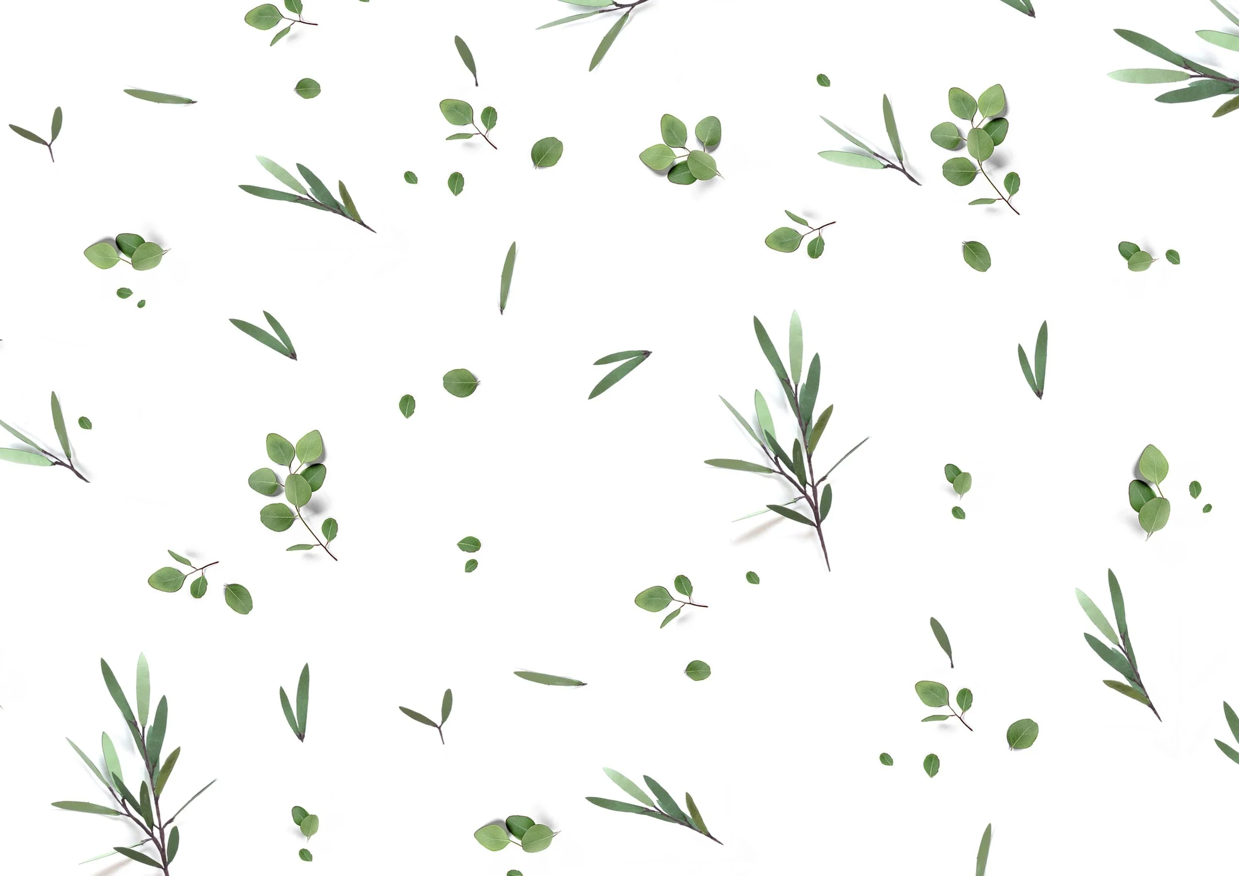 Real Leaves V1 (1).jpg