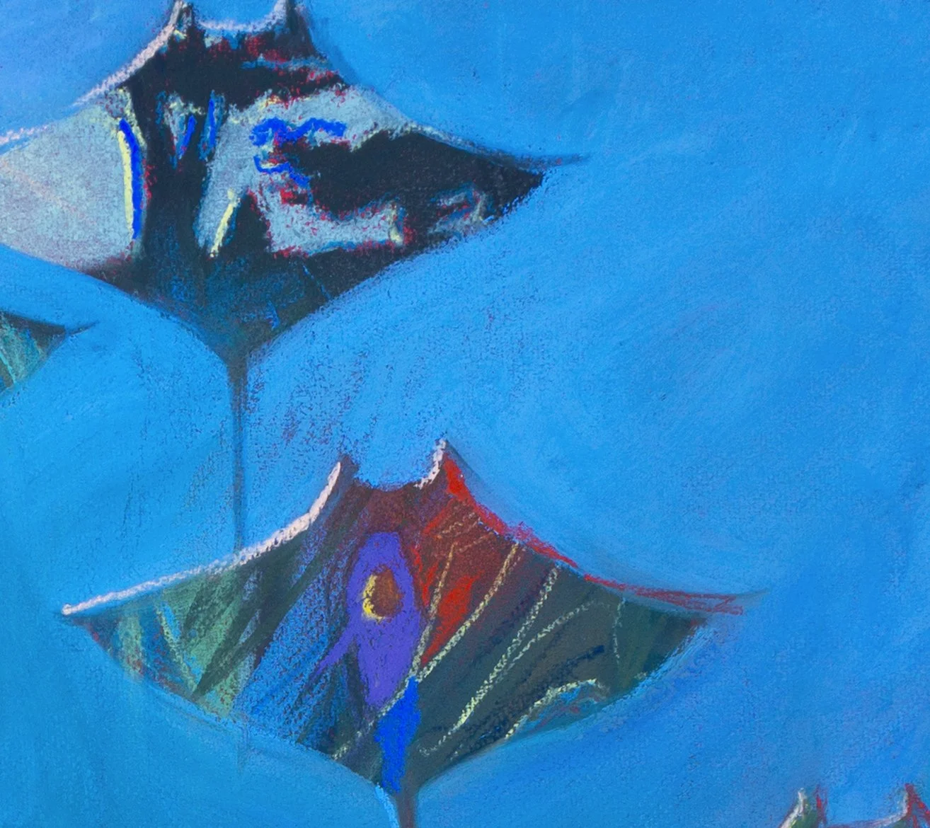 childing beach close up 3.jpg