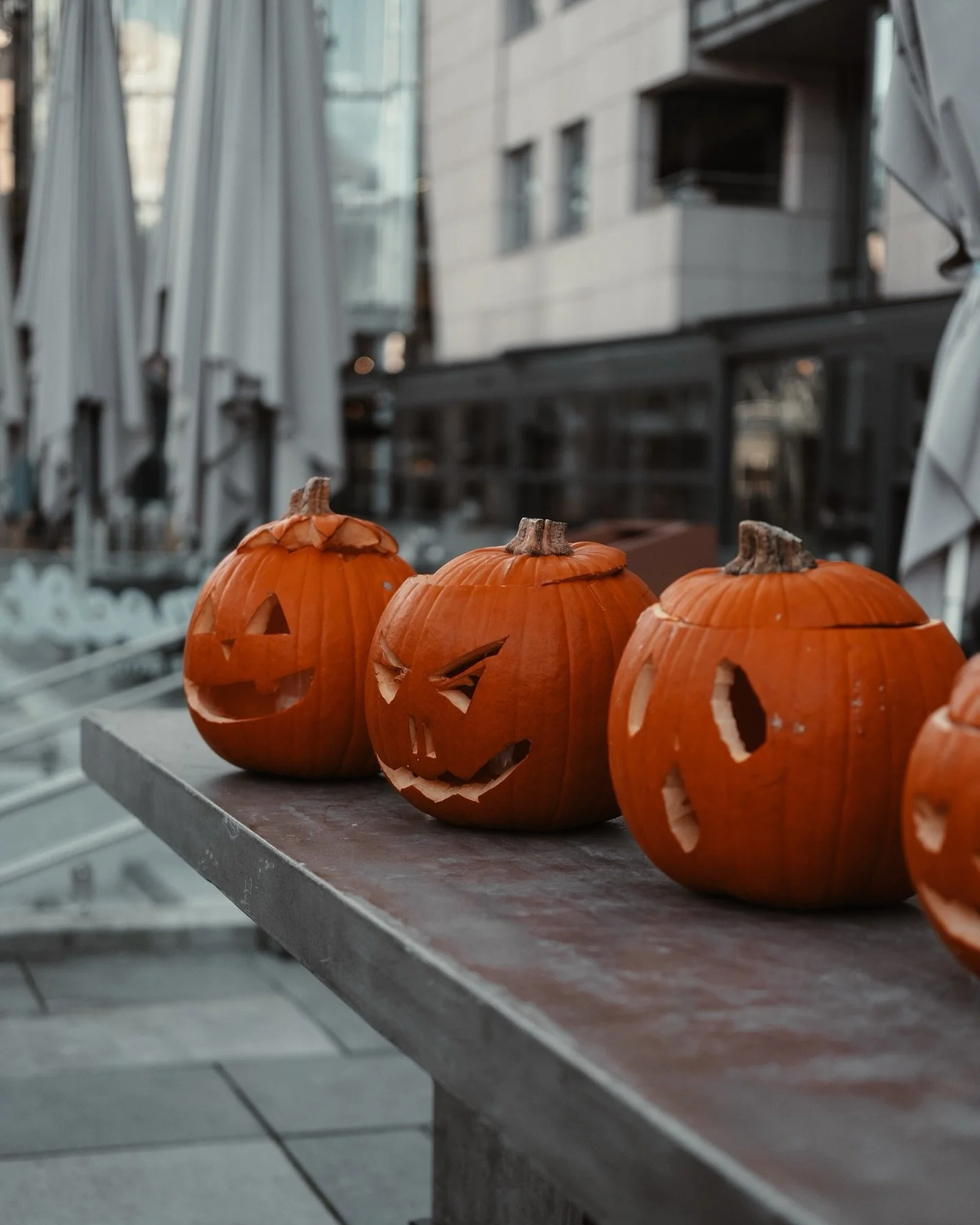 Happy Halloween 🎃
&nbsp; ⠀⠀⠀⠀⠀⠀⠀⠀⠀⠀⠀⠀ 
&nbsp; ⠀⠀⠀⠀⠀⠀⠀⠀⠀⠀⠀⠀ 
#fujifilm #fuji #fujifilmnordic #fujifilmglobal #fujifilmxt #fujilove #fujifilm_love #xt5 #fuji #fujifilm_xseries #fujifilmphotography #fujifeed #street #street_minute #gatefotografering #c