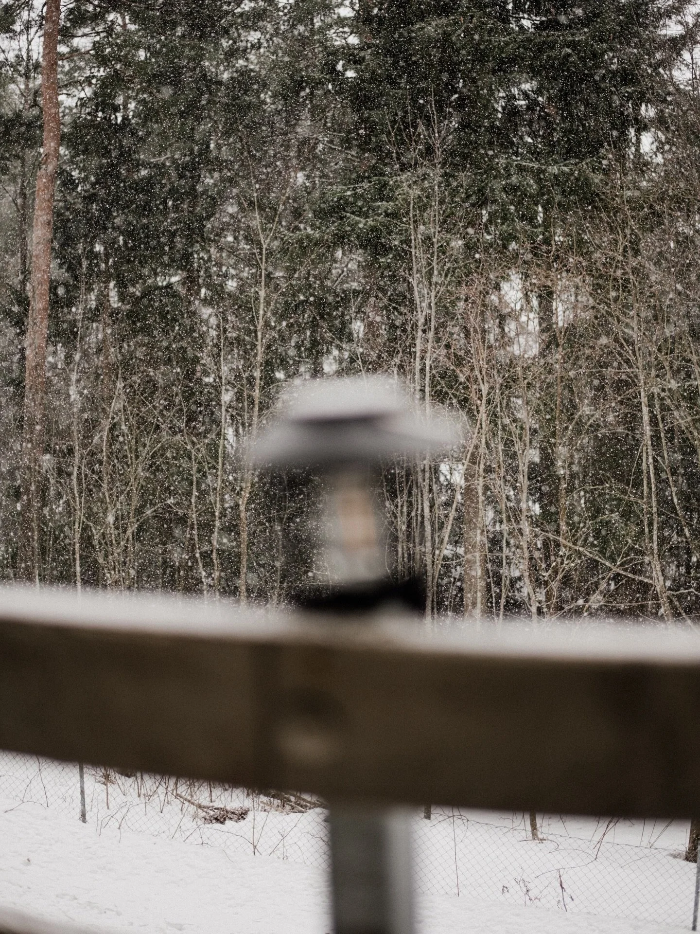 No snow yet&hellip; and honestly, it&rsquo;s kind of nice. But also&hellip; I secretly hope we get just a little sprinkle soon. Just enough to feel winter without freezing through. 🤍✨

#wintermood #almostwinter #nordicvibes #hopingforsnow #cozyseaso