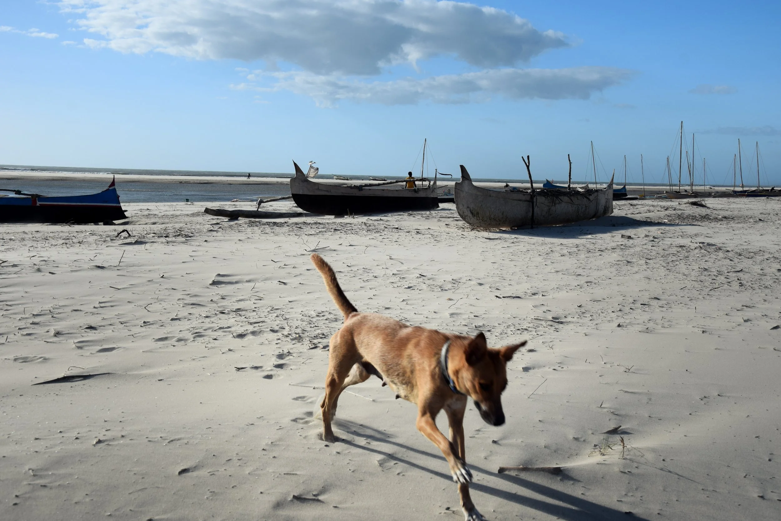 4 - Ranomanga (...) - Riccardo Zennaro.JPG