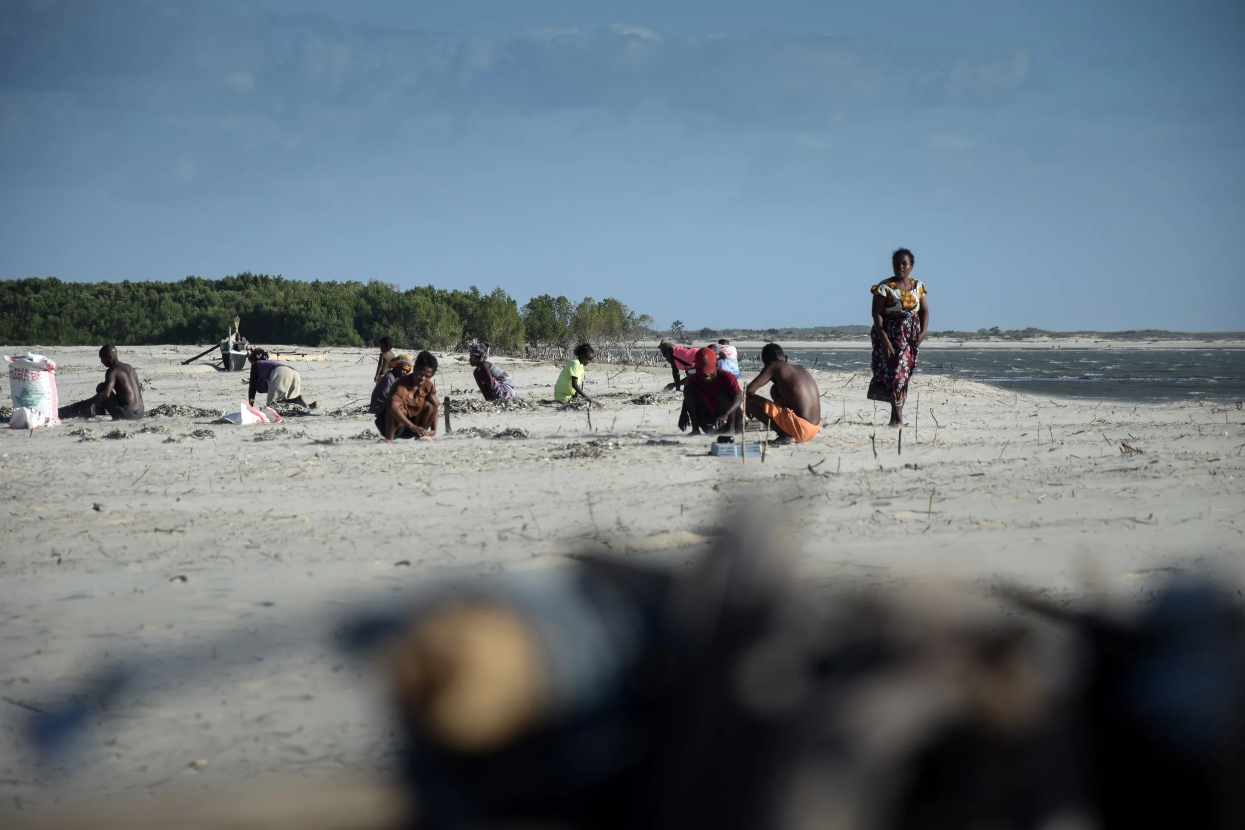 5 - Ranomanga (...) - Riccardo Zennaro.JPG