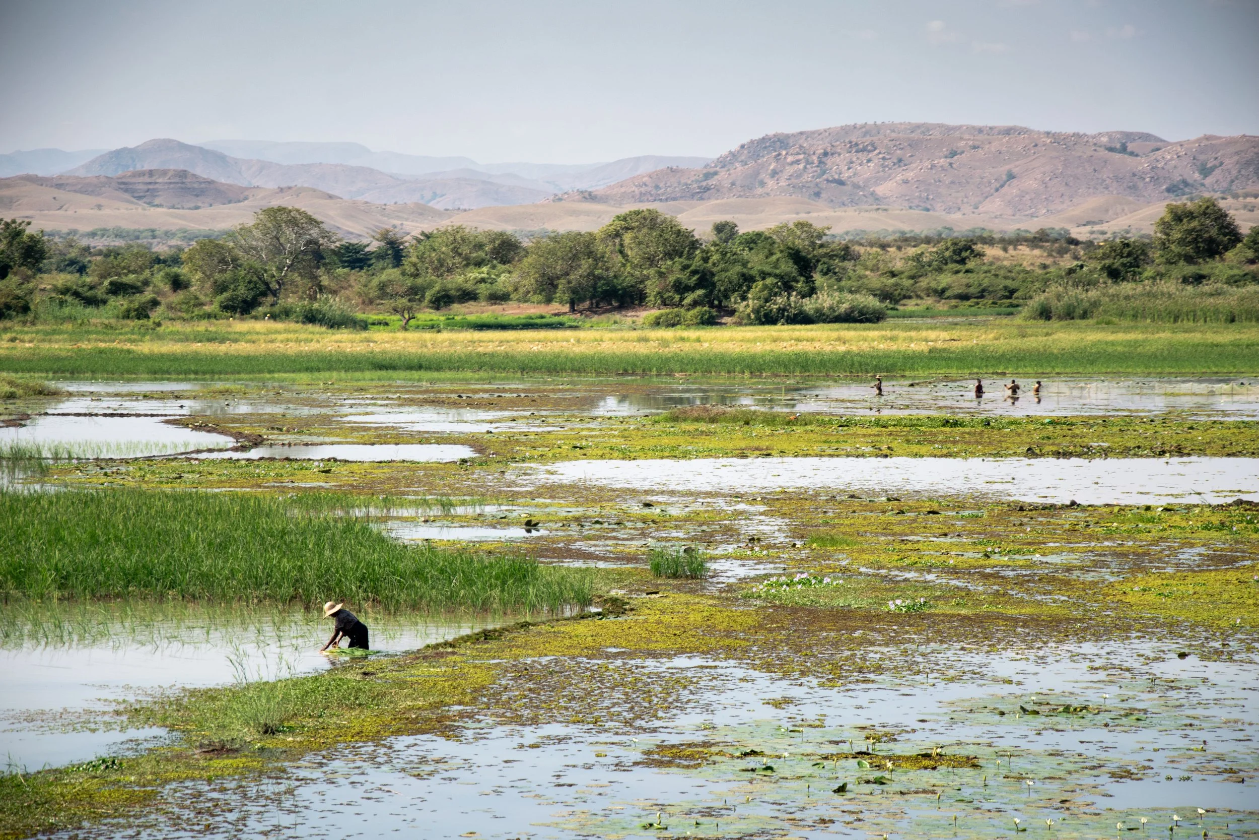 6 - Ranomanga (...) - Riccardo Zennaro.JPG