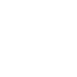 Agentic AI Services