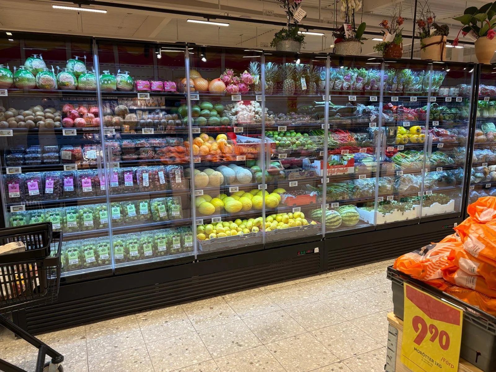 WhatsApp Image 2026-02-17 at 09.55.07 (31).jpeg