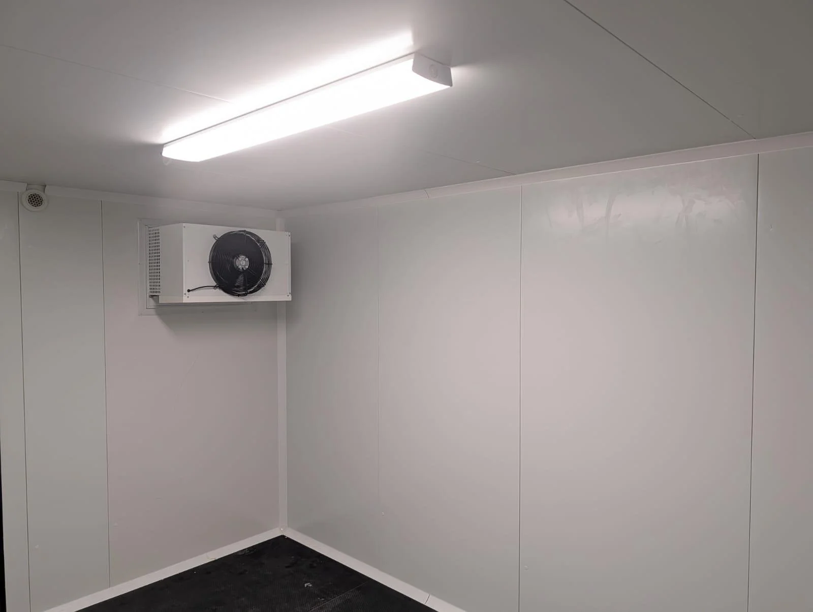 WhatsApp Image 2026-03-31 at 11.18.09 (2).jpeg