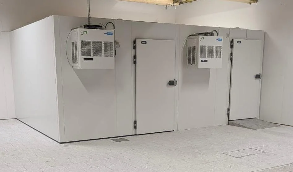 WhatsApp Image 2026-03-31 at 11.18.08.jpeg