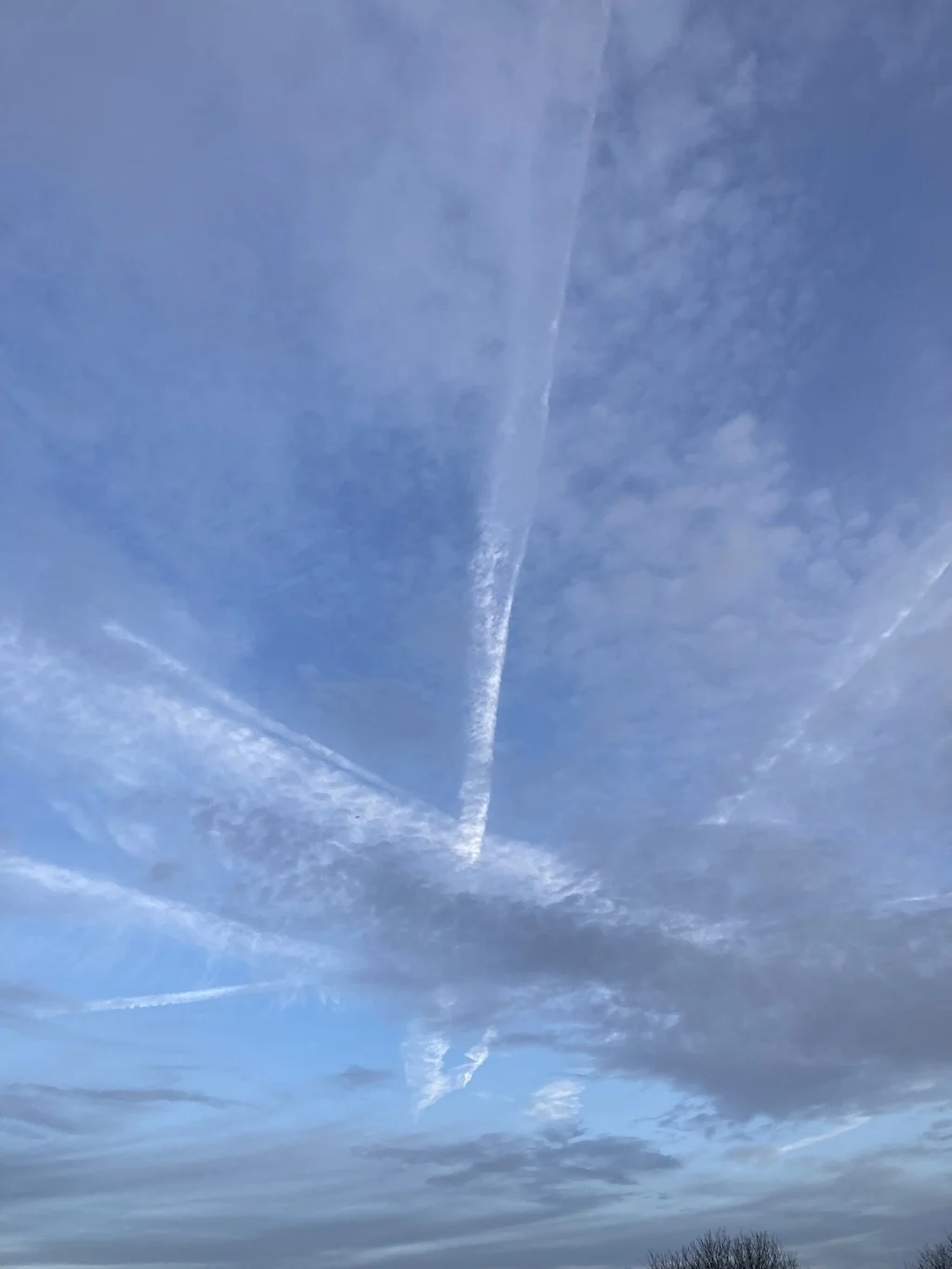 EASA and IATA collaborate to improve transparency of flight emissions data