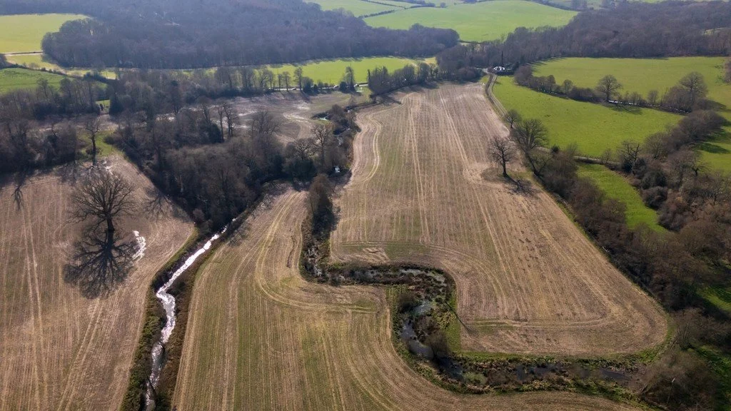 Gatwick Airport expands nature recovery partnerships as part of net-zero programme