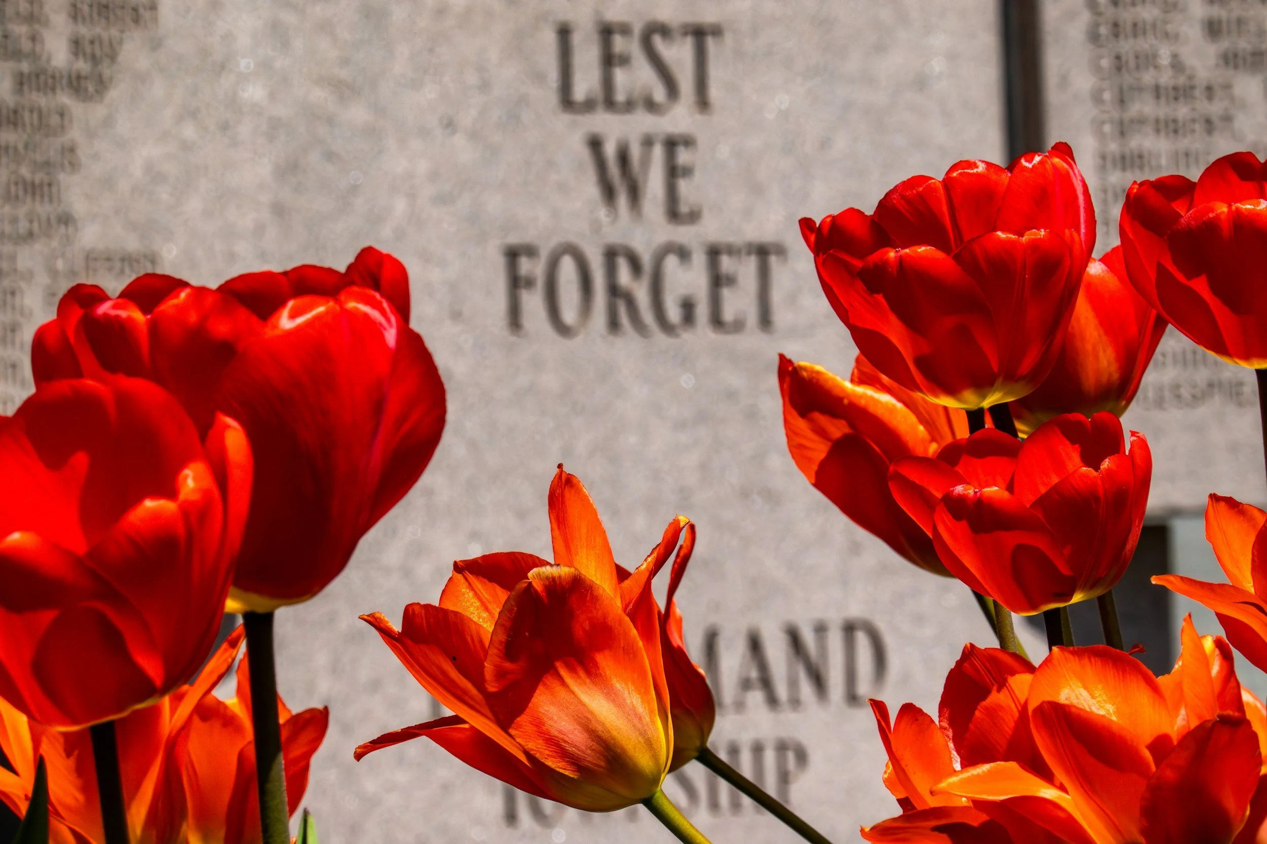 Remembrance day