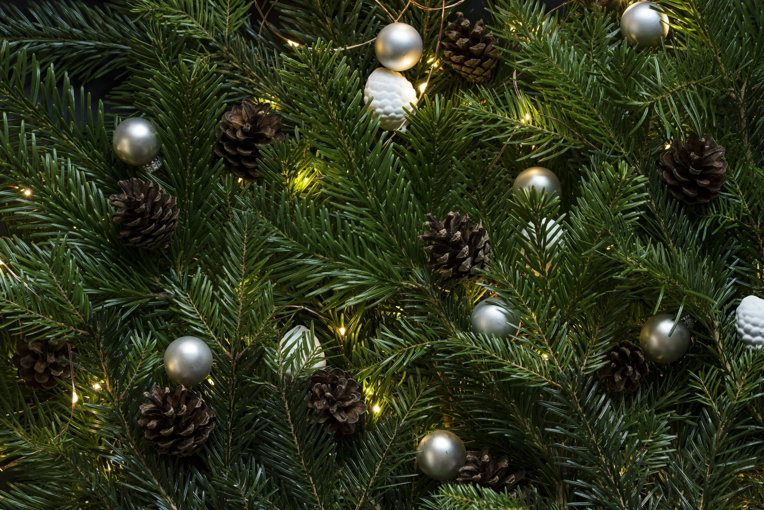 An early Christmas service