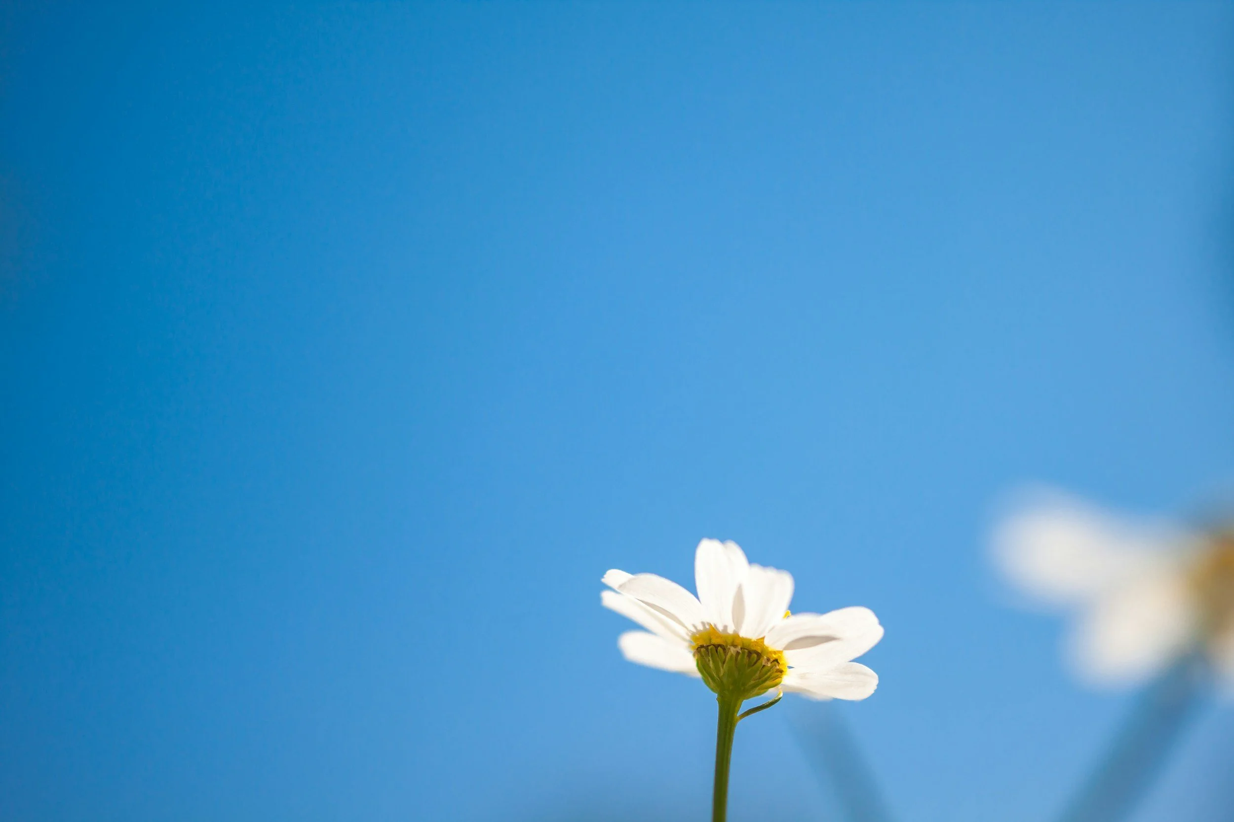 Sunday service - Simplicity