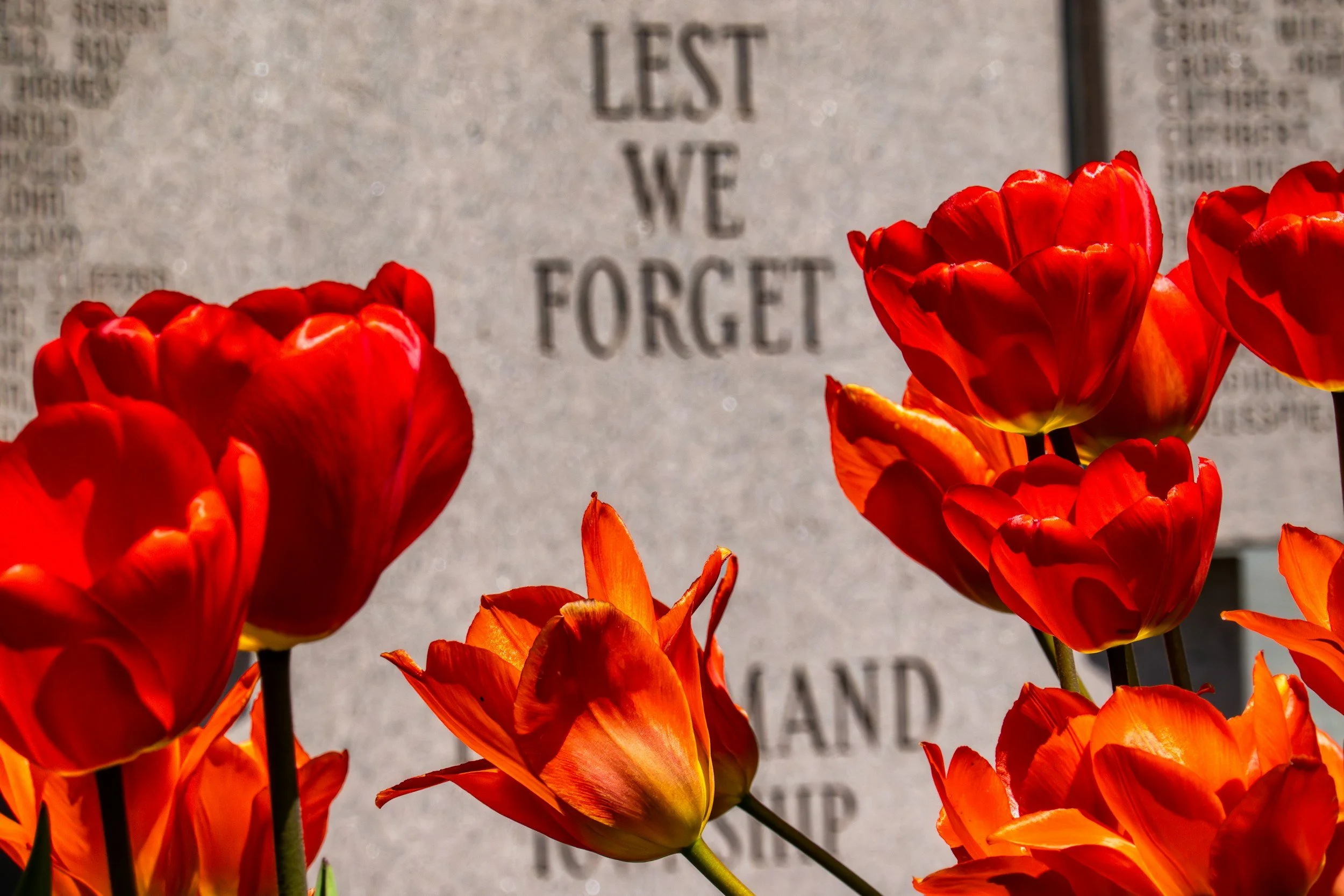 Sunday Service - Remembrance Day