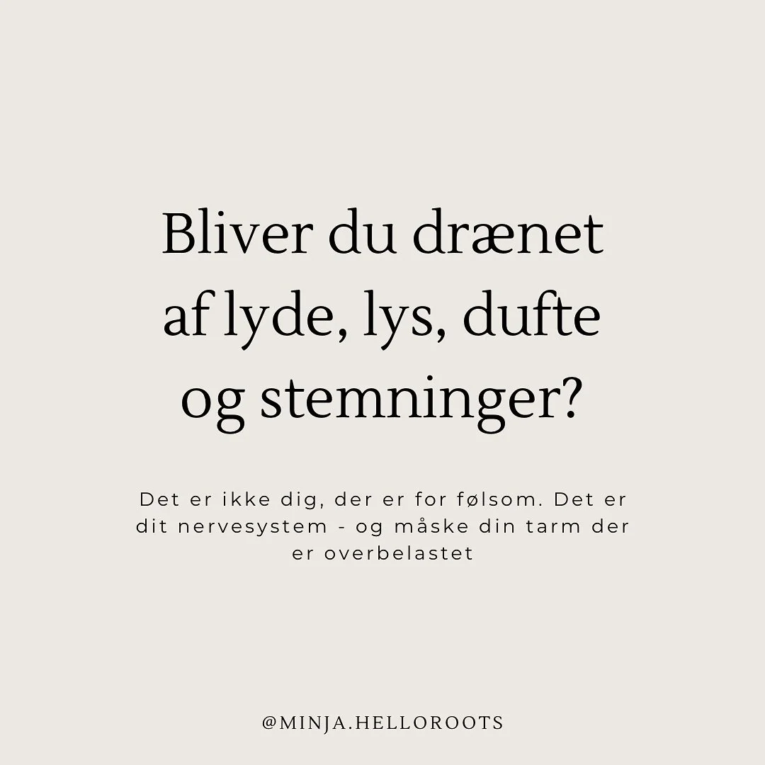 Bliver du ogs&aring; hurtigt dr&aelig;net af lyde, lys, dufte og stemninger?

Det er ikke fordi, du er sart.
Det er kroppen, der fors&oslash;ger at beskytte dig &ndash;
og m&aring;ske er det tarmen, der r&aring;ber om hj&aelig;lp.

Jeg ser det igen o