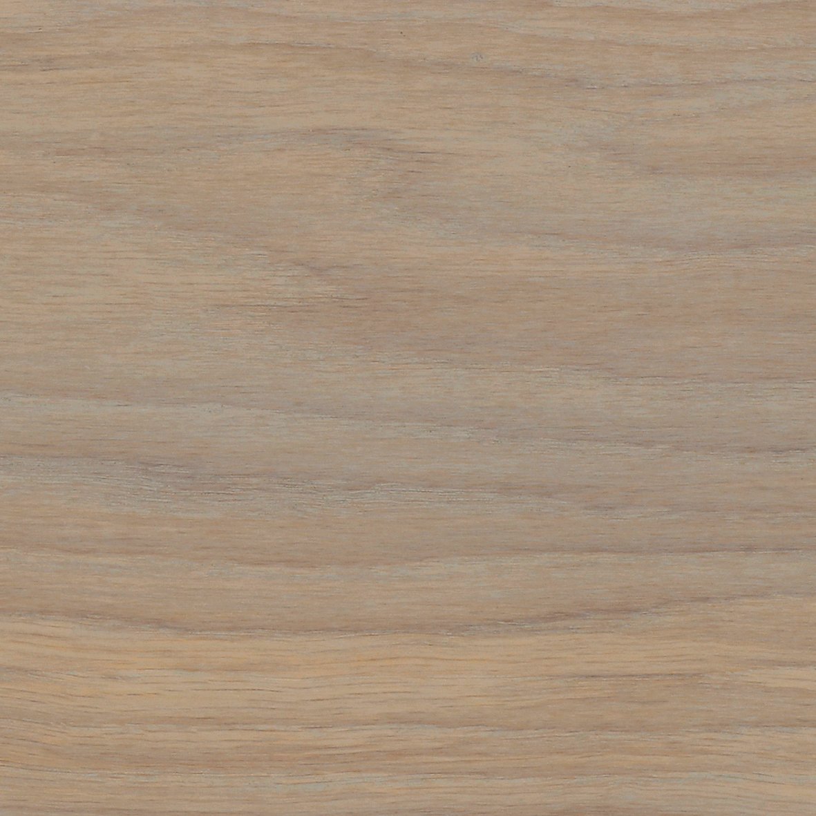 RMC Oil Plus 2C_11 Cornsilk_Print.jpg