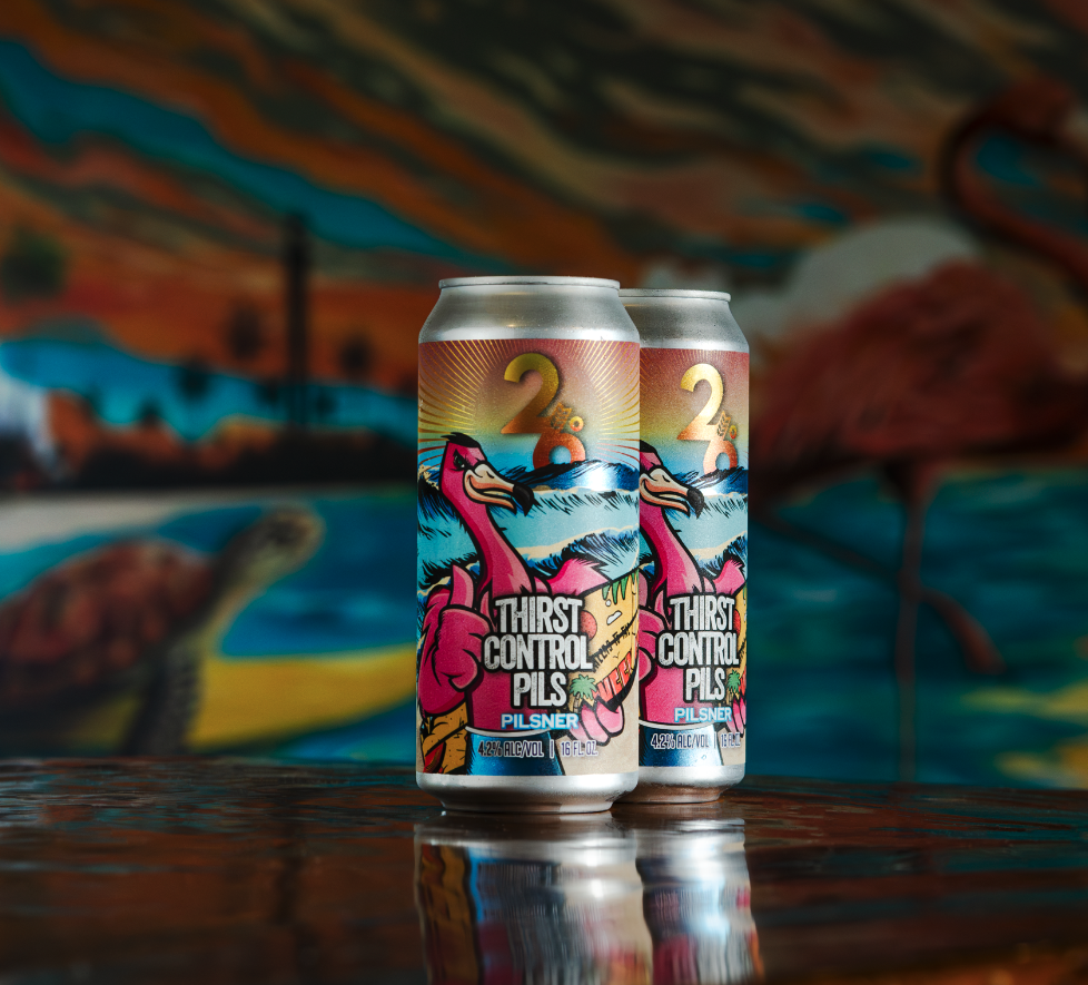 Two craft beers in can