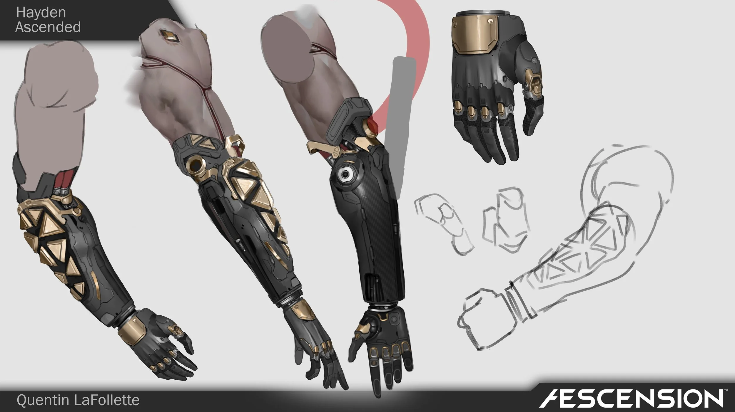 Quentin_LaFollette_Hayden_ArmWIP.jpg