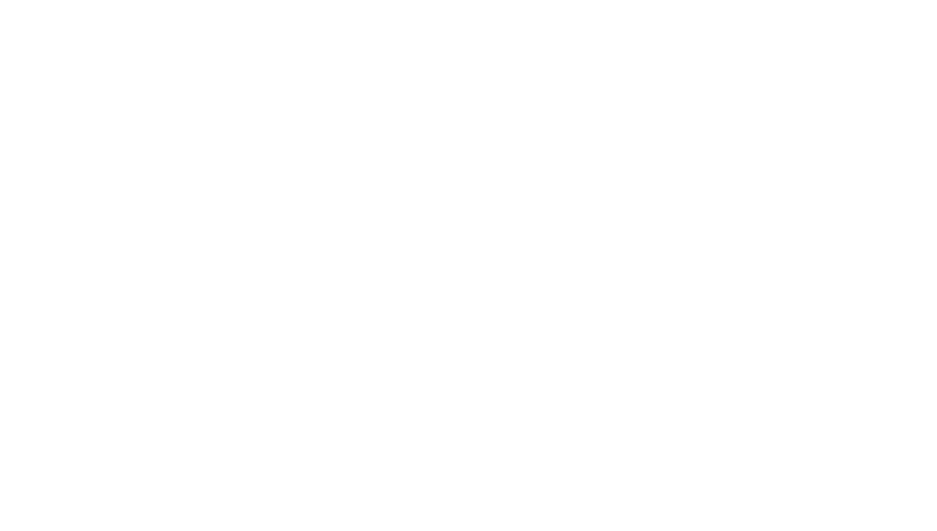 Blumir Partners