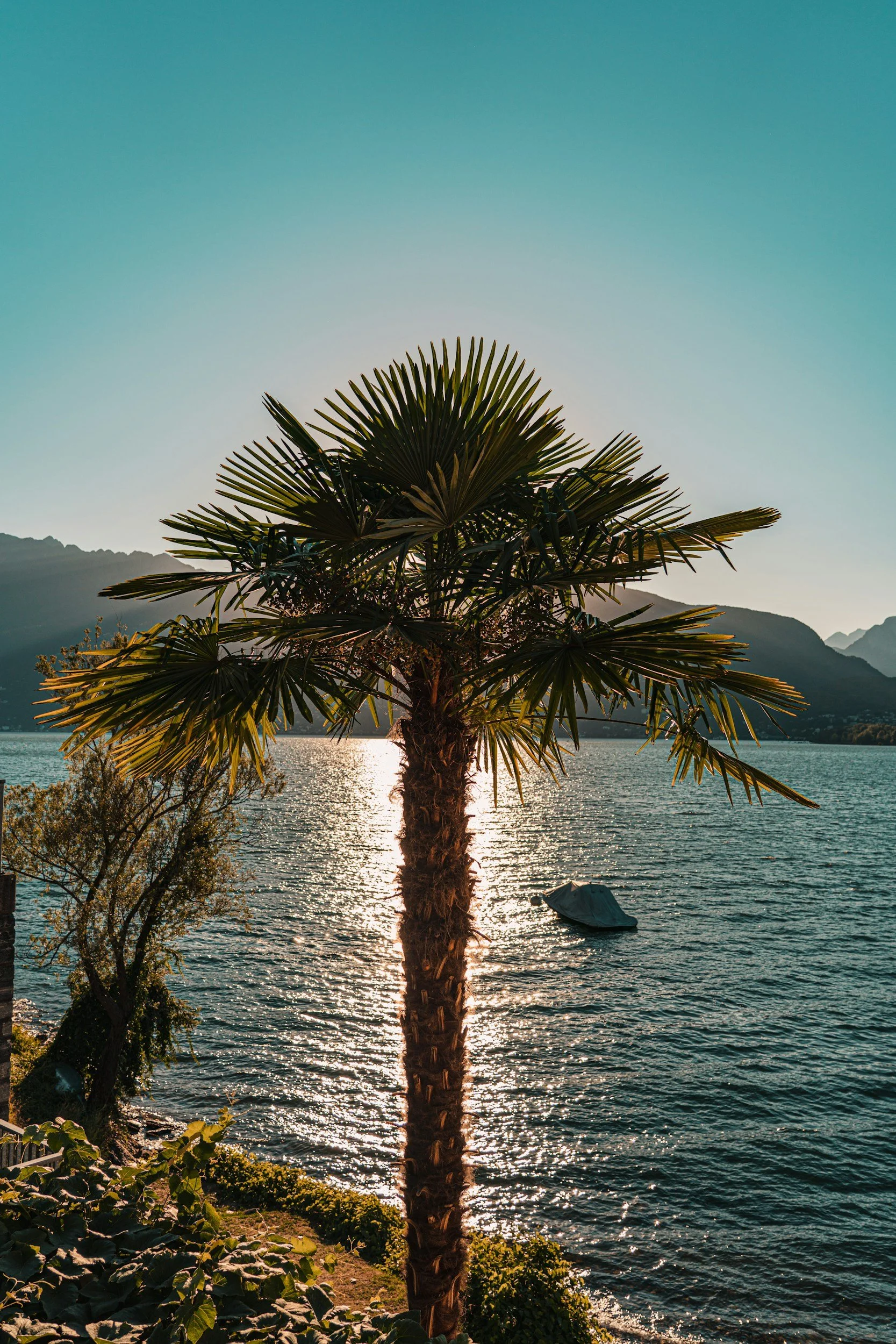 unsplash-image-nBRdQ3-8mP0.jpg