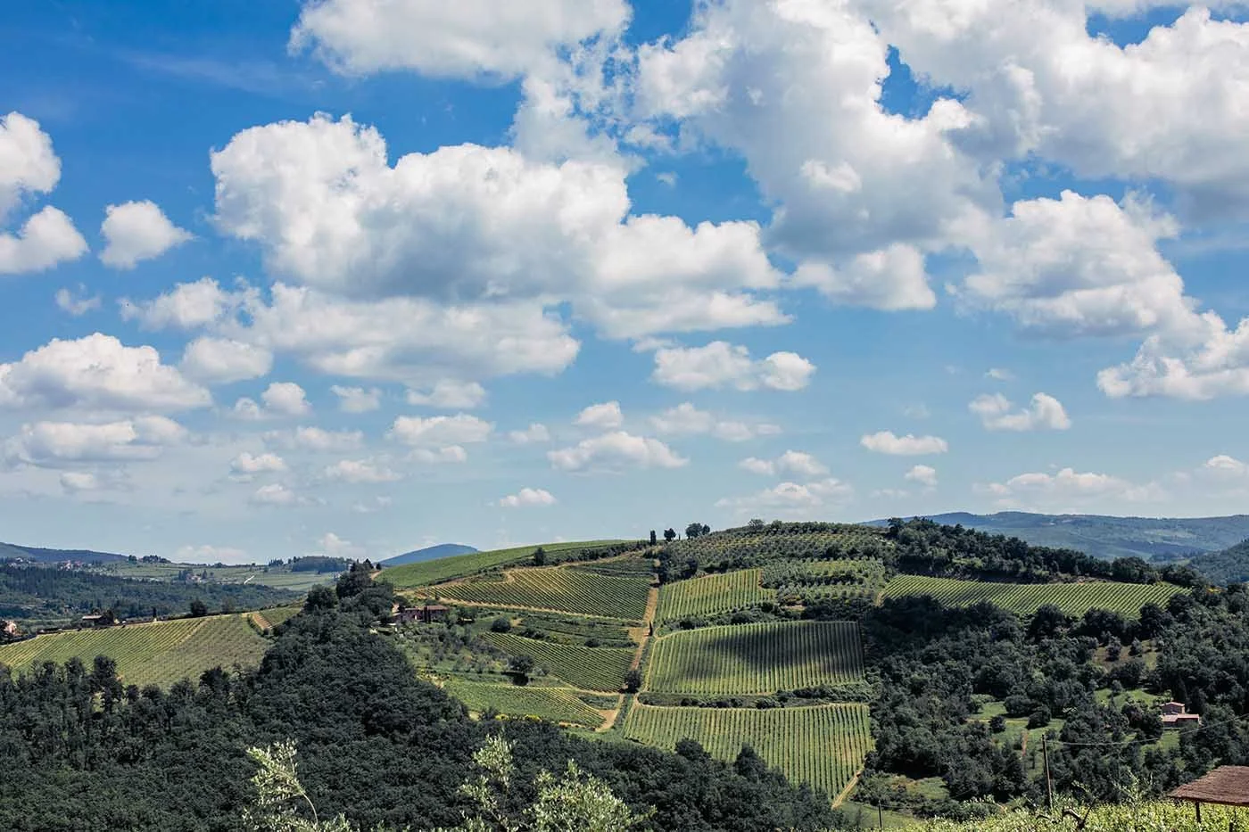 Fattoria-e-Villa-di-Rignana-Paesaggio-1.jpg