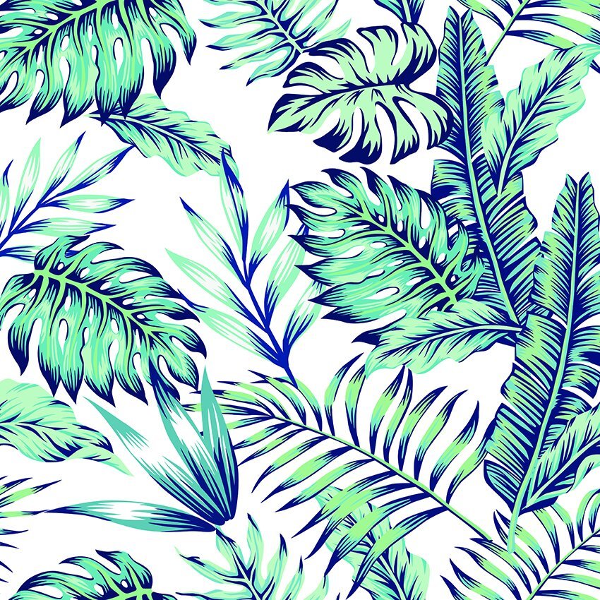 25 - Tropical
